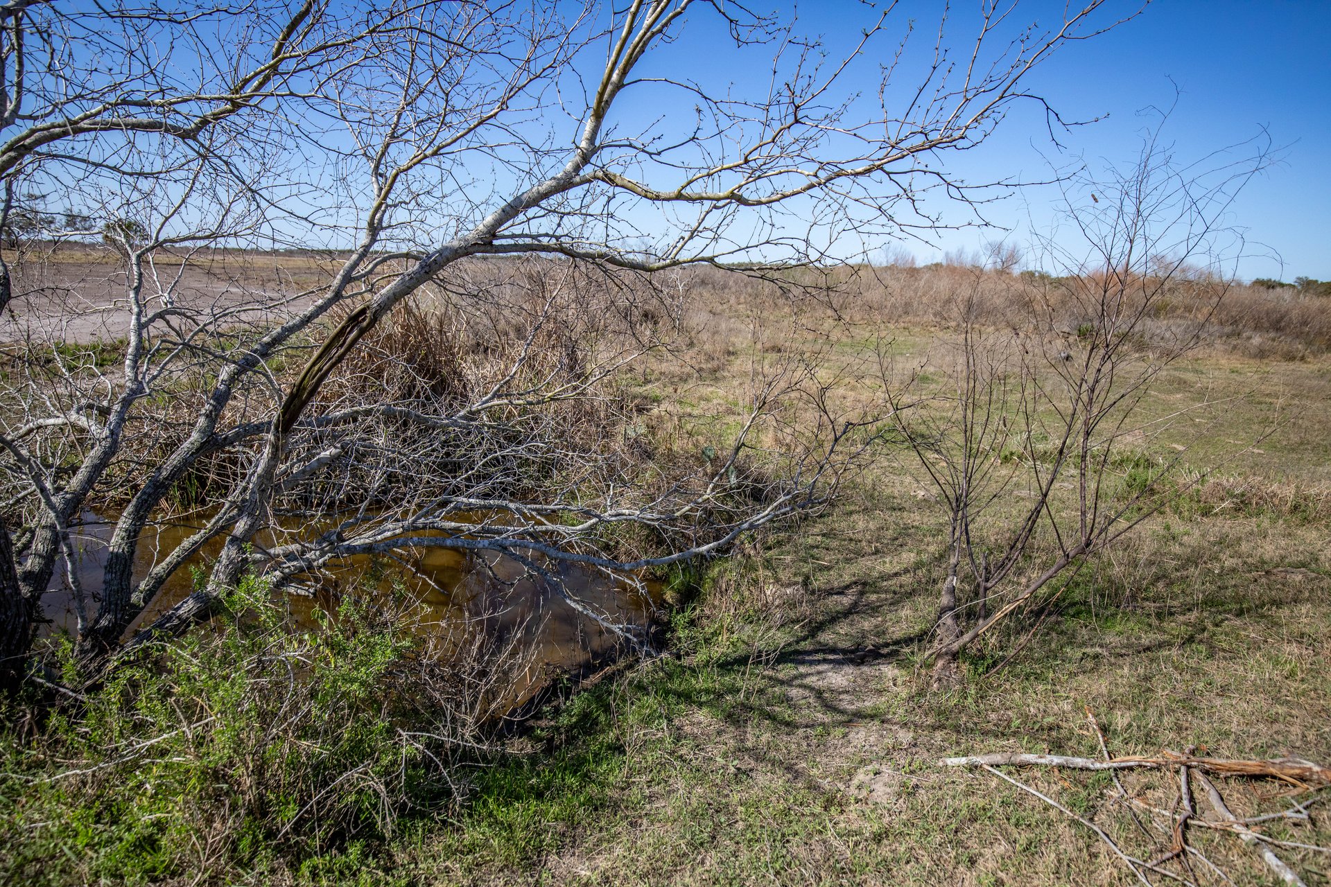 Lamar Peninsula Development Tract |  51.81± Acres | Aransas County