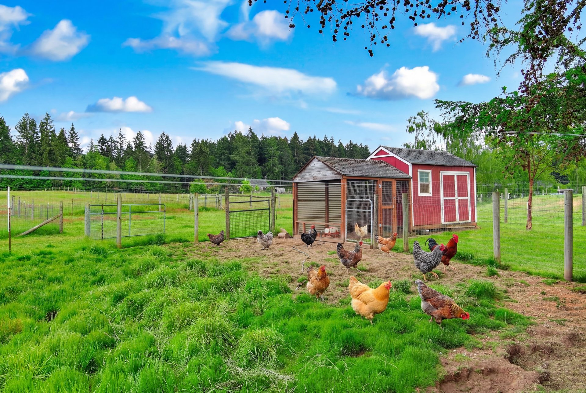 14419 Martinson Rd SE, Yelm, WA 98597