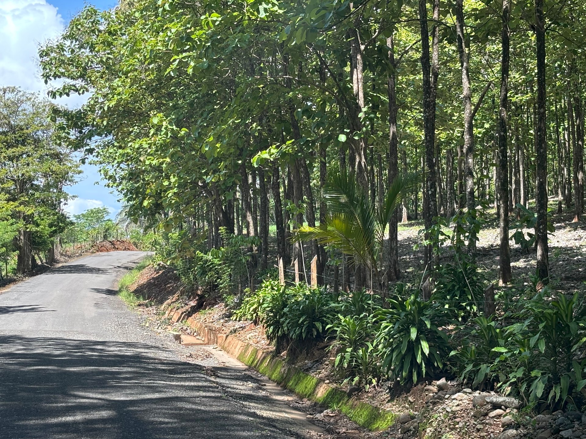 7-Hectare Farm with Teak Plantation, Existing Home & Eco-Development Potential Near Parrita, Costa Rica