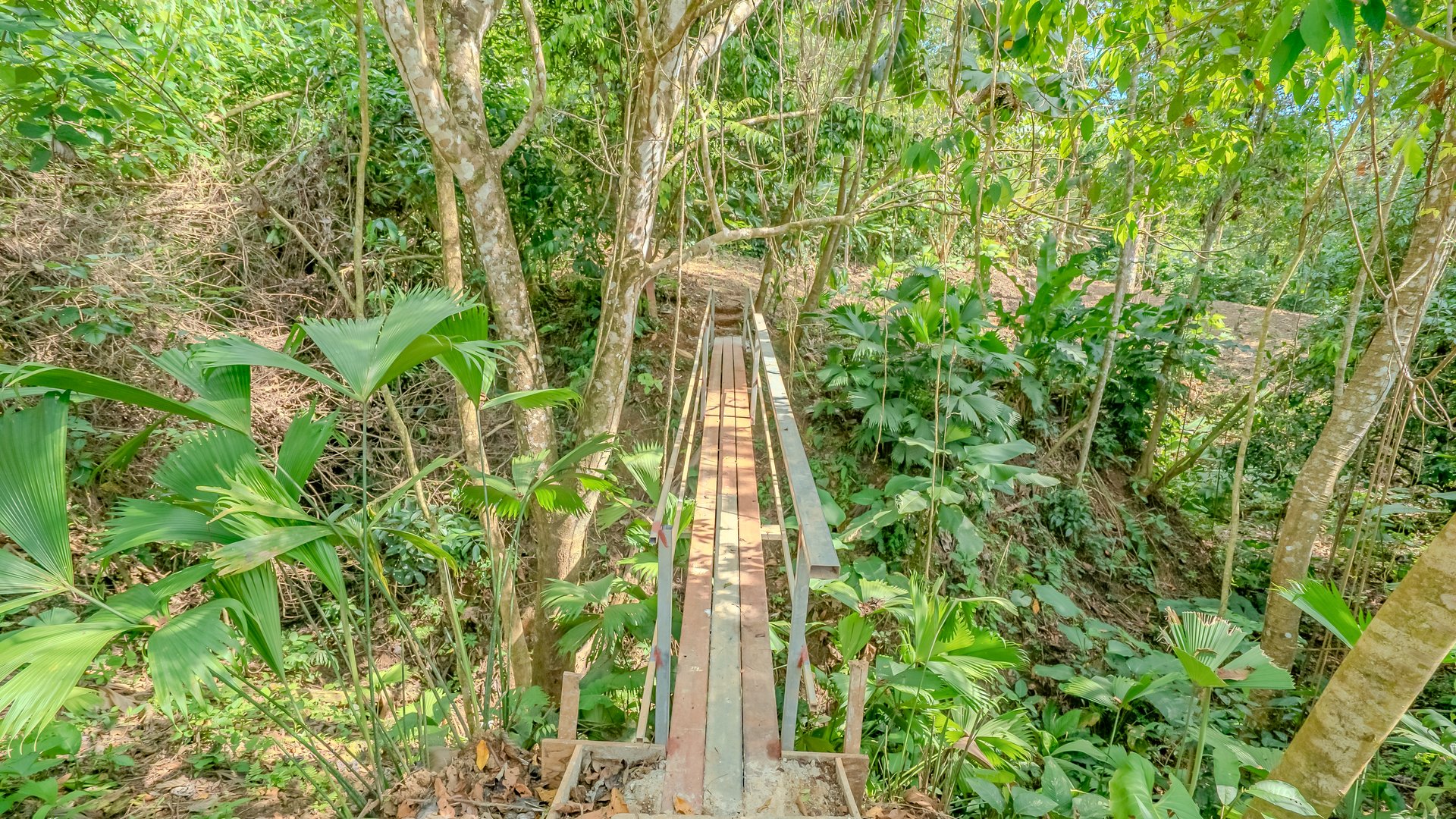 Brand New Tropical Jungle Home in Ojochal