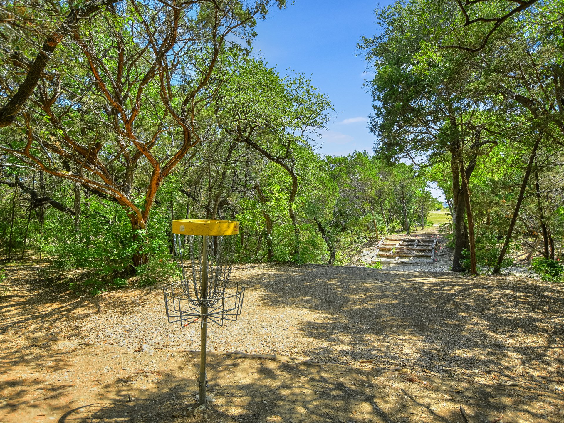 6433 Tasajillo Trail