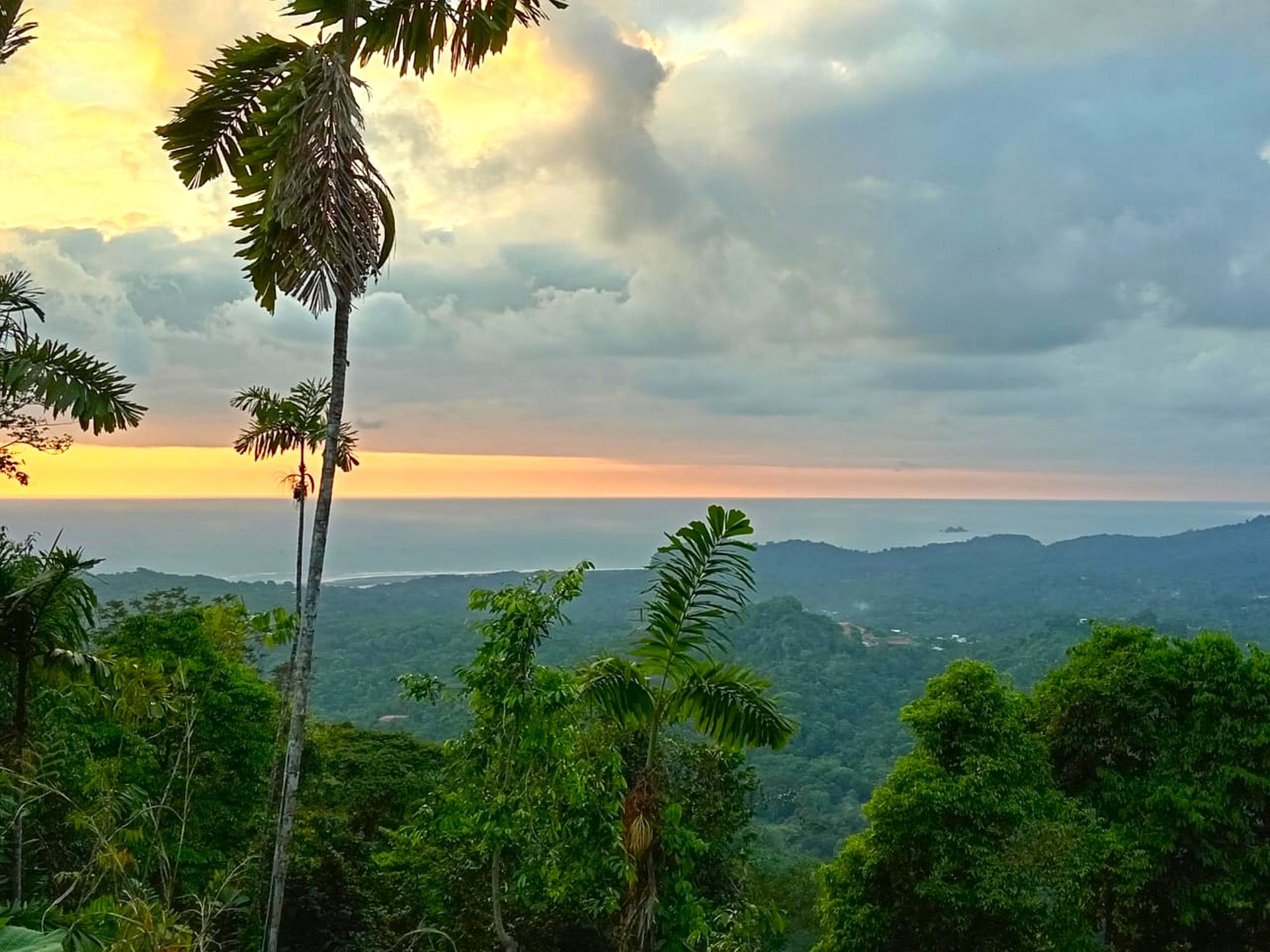 0.46 ACRES – Ocean View Land With Ready To Build Site, 2 Minutes Away From El Pavon Waterfall, Utilities On Site & Virgin Forest!!!