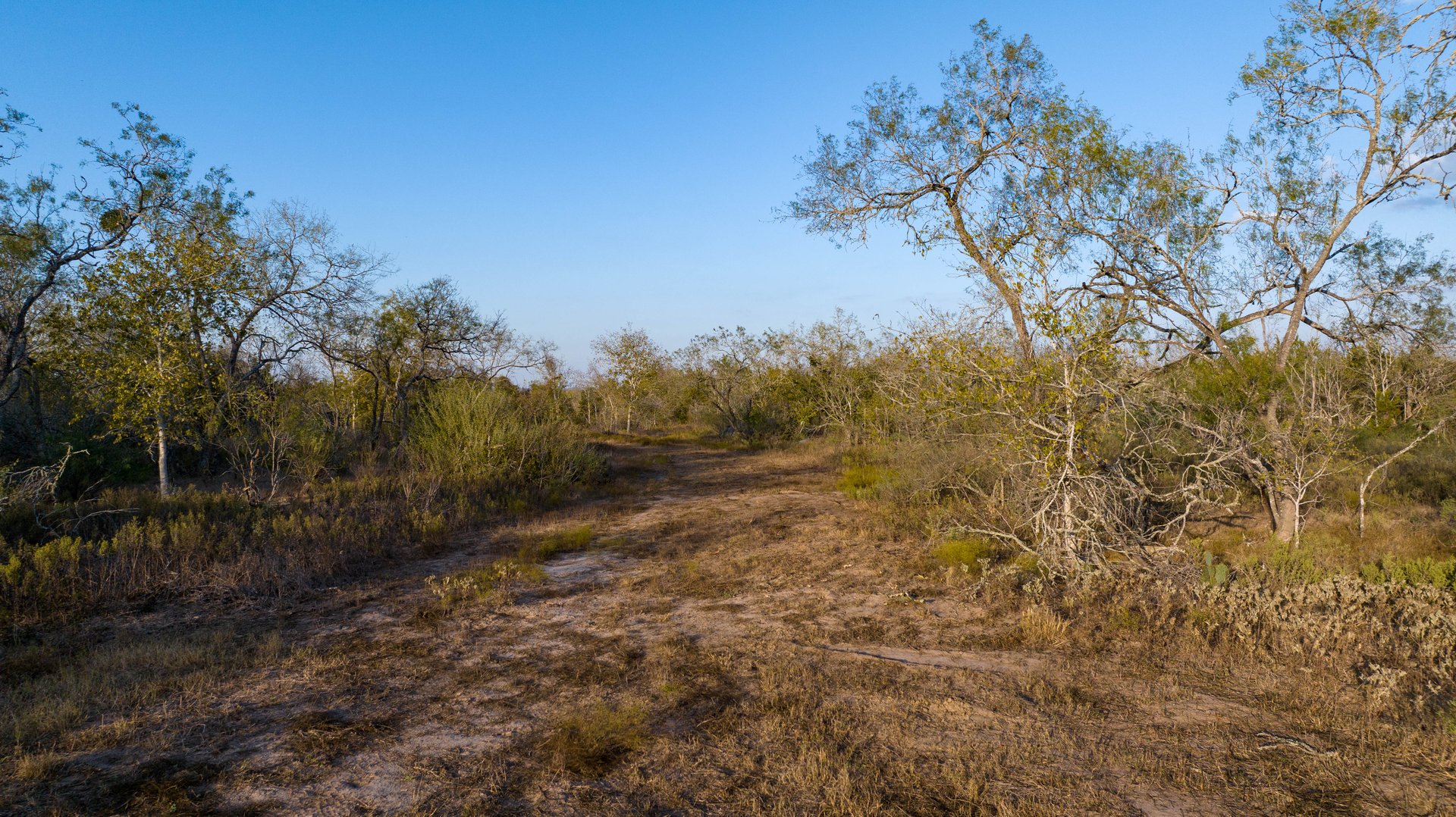 Gonzales County | 104+/- Acres