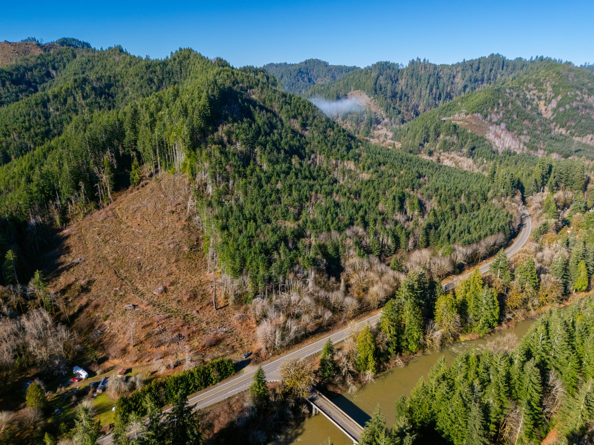 Waite Creek Woodlands