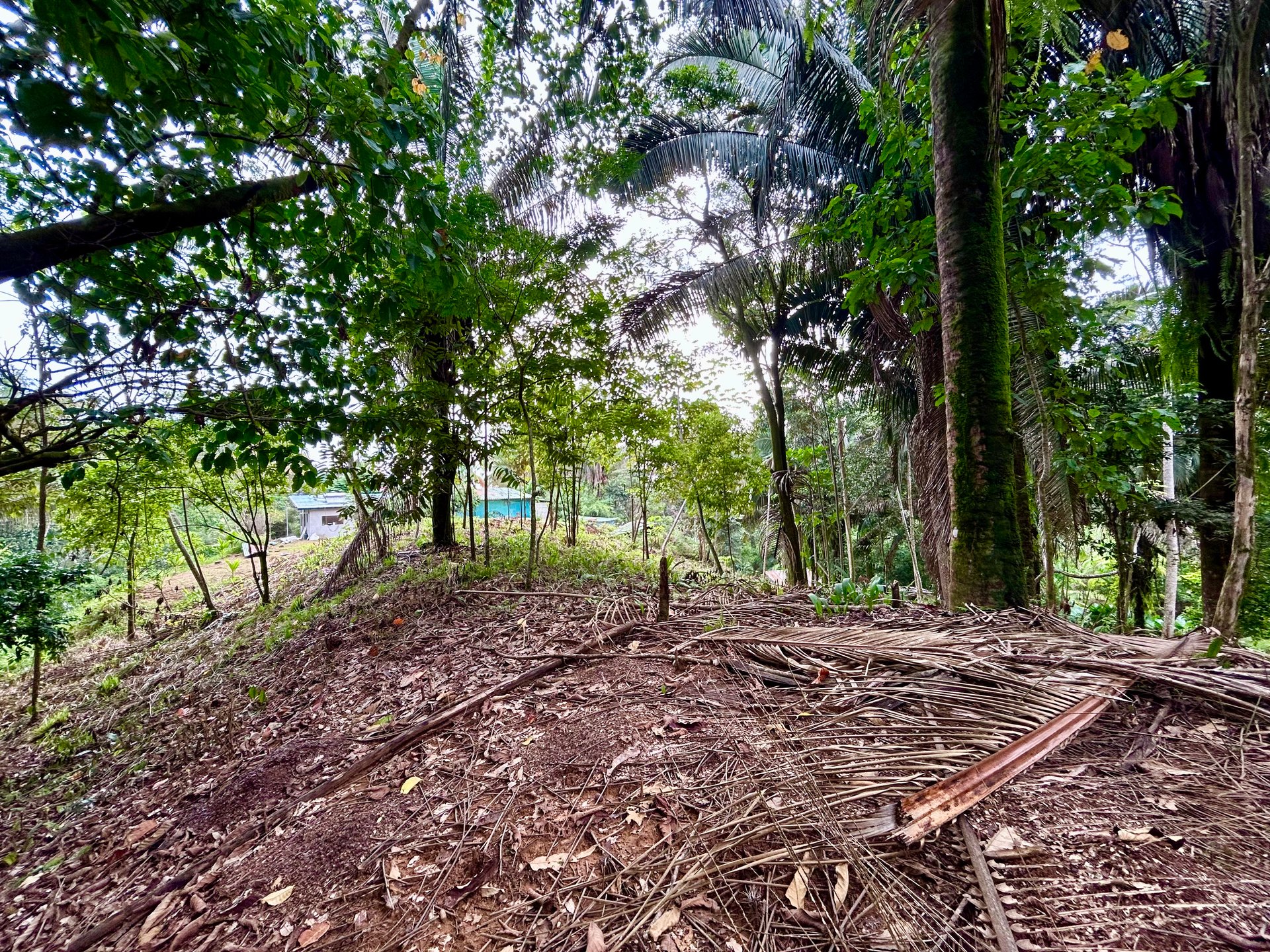 Over 1.4 Acres in Playa Hermosa – Just 5 Minutes from the Beach!