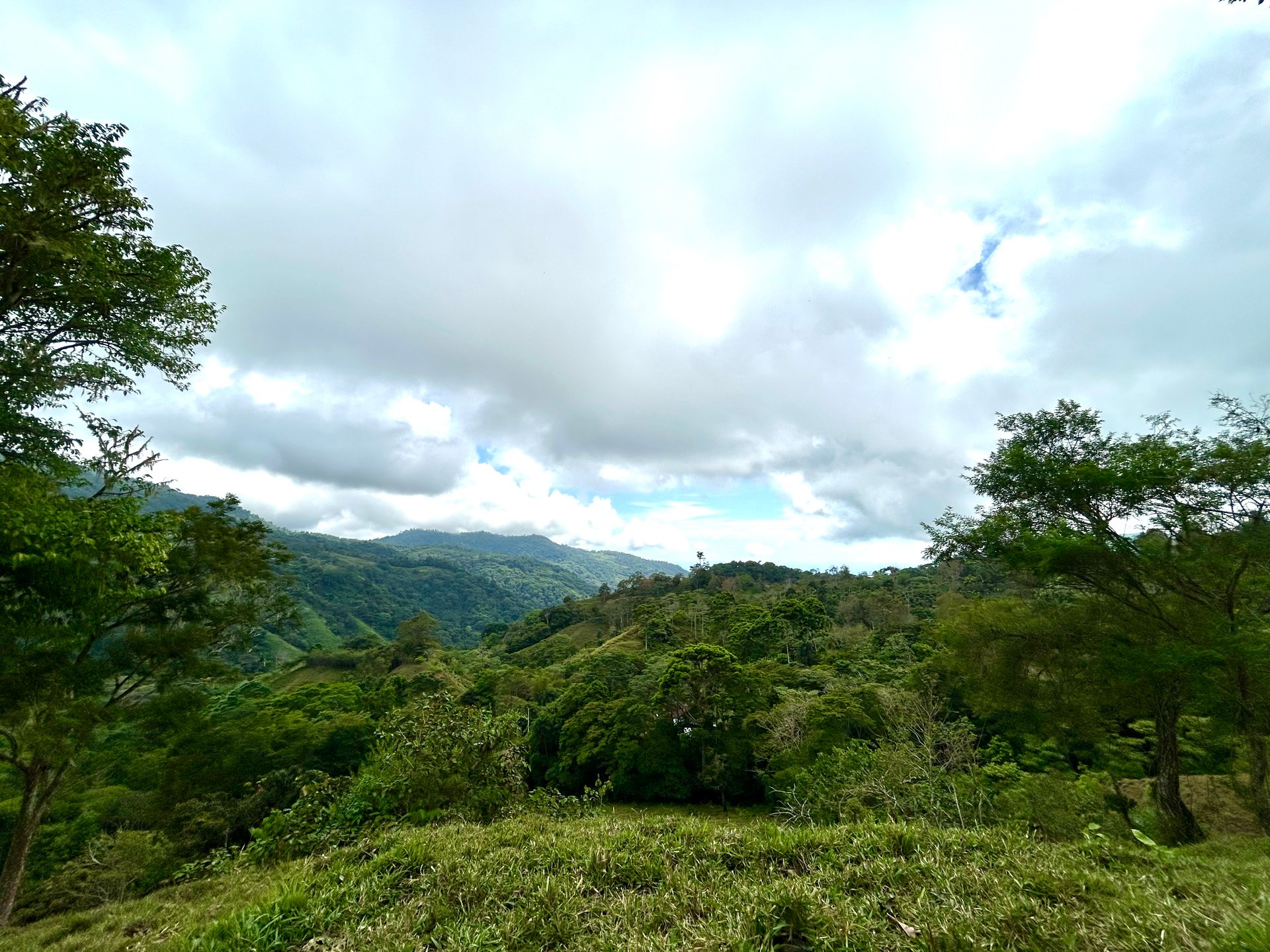 Gorgeous Land in San Luis Morete - Uvita - Over 17 Acres