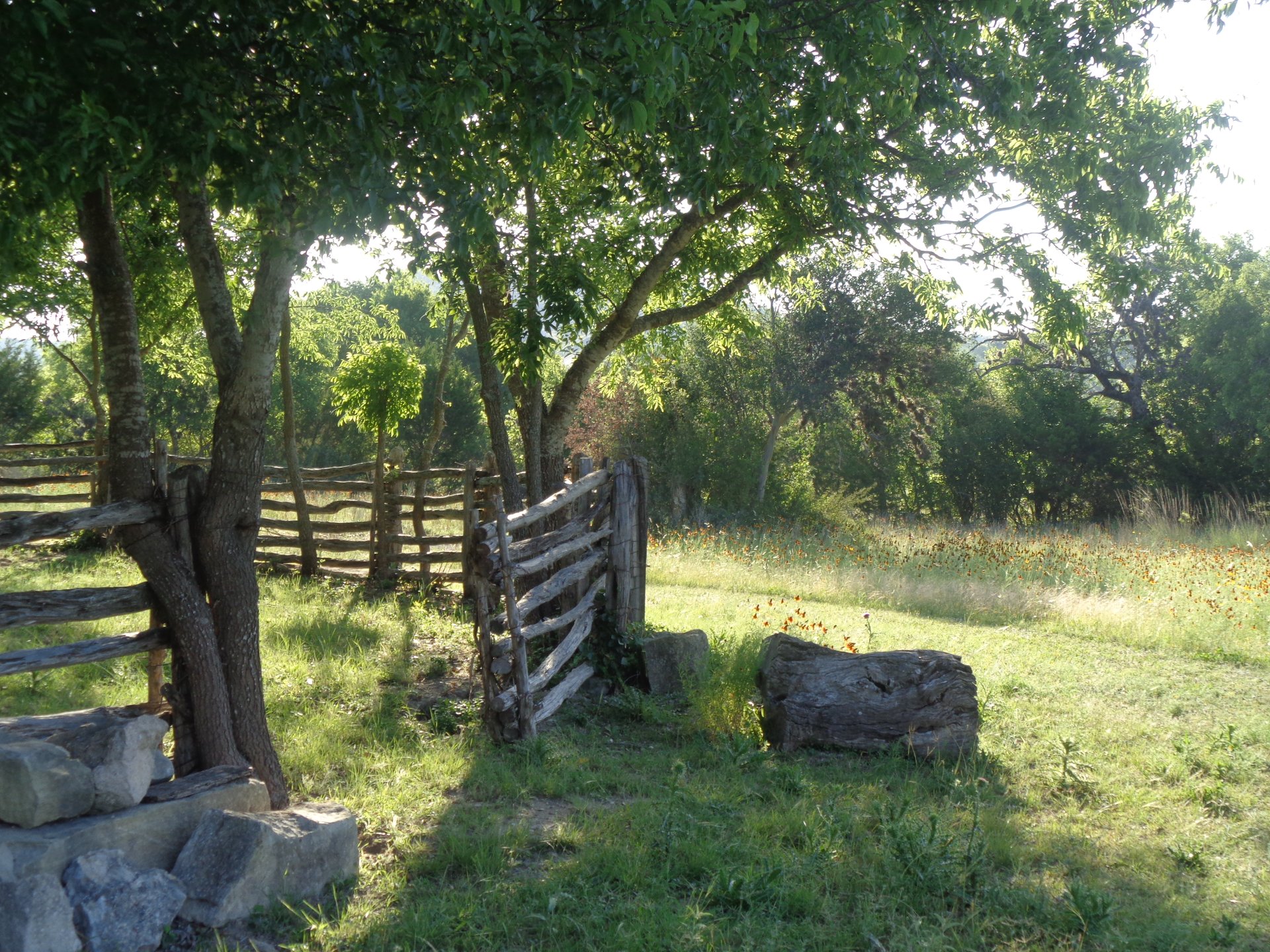 684 Stoneleigh Ranch Road 
