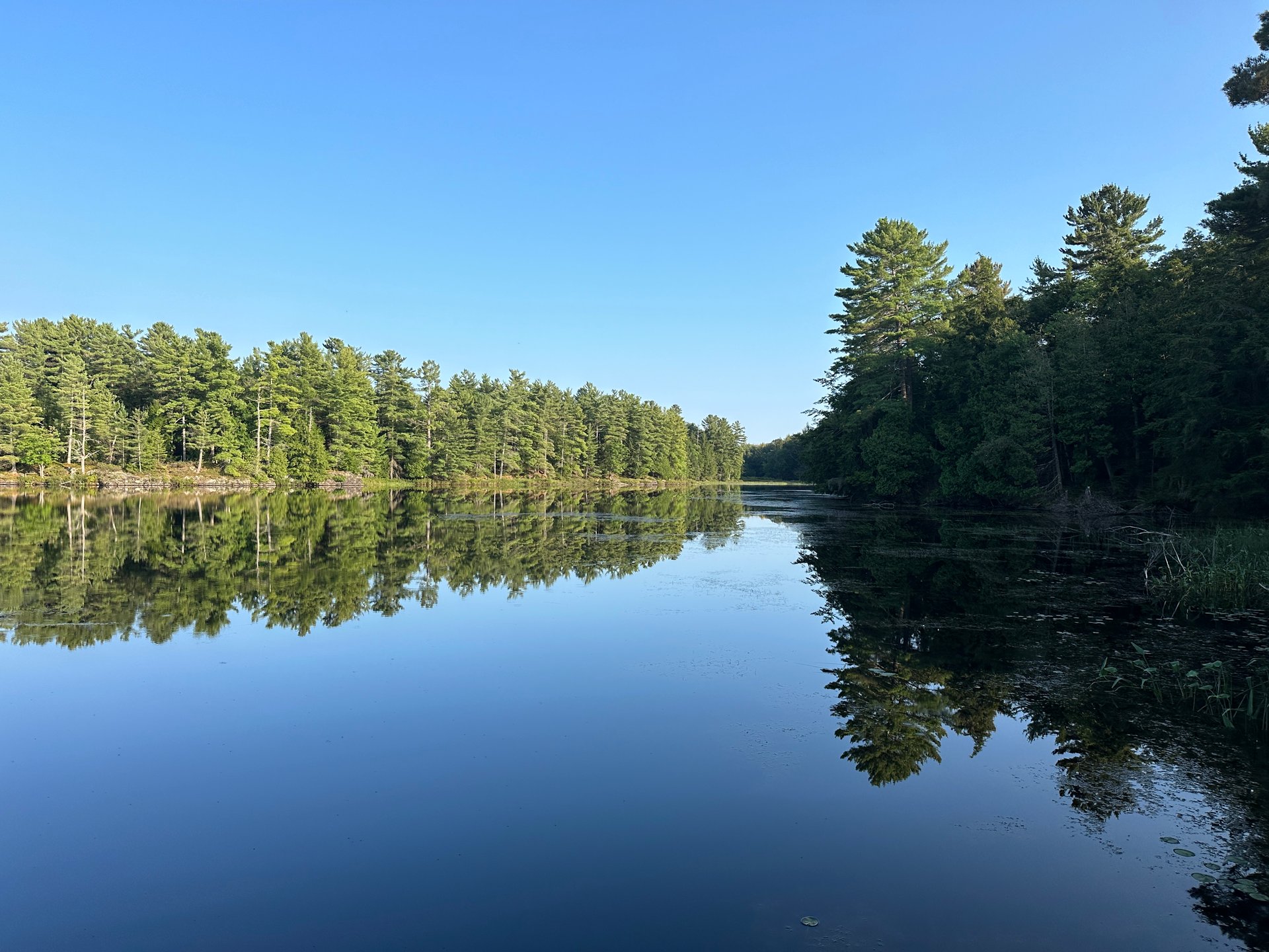 Camel Lake