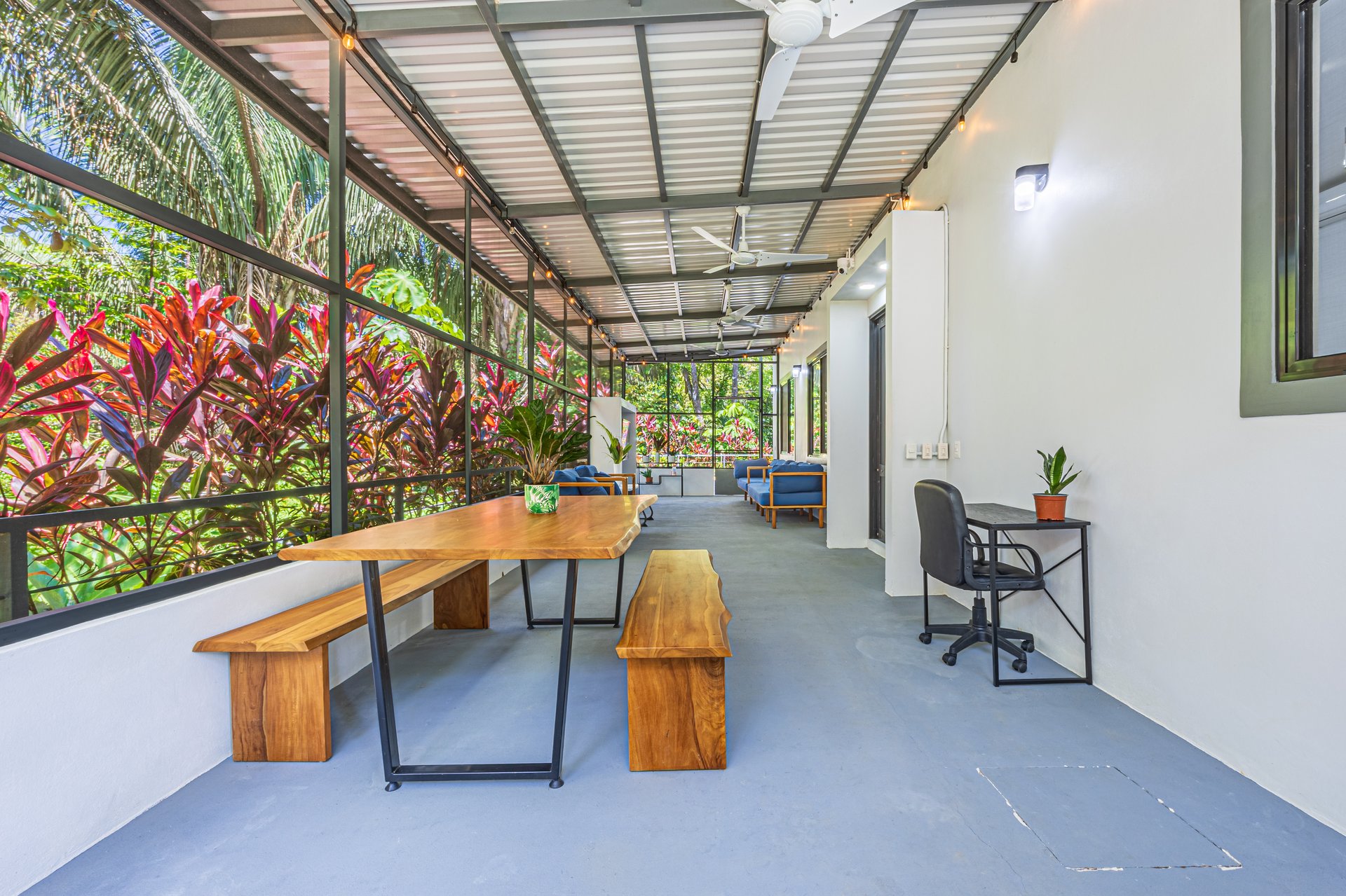 Cinco Ventanas Jungle Life Redefined