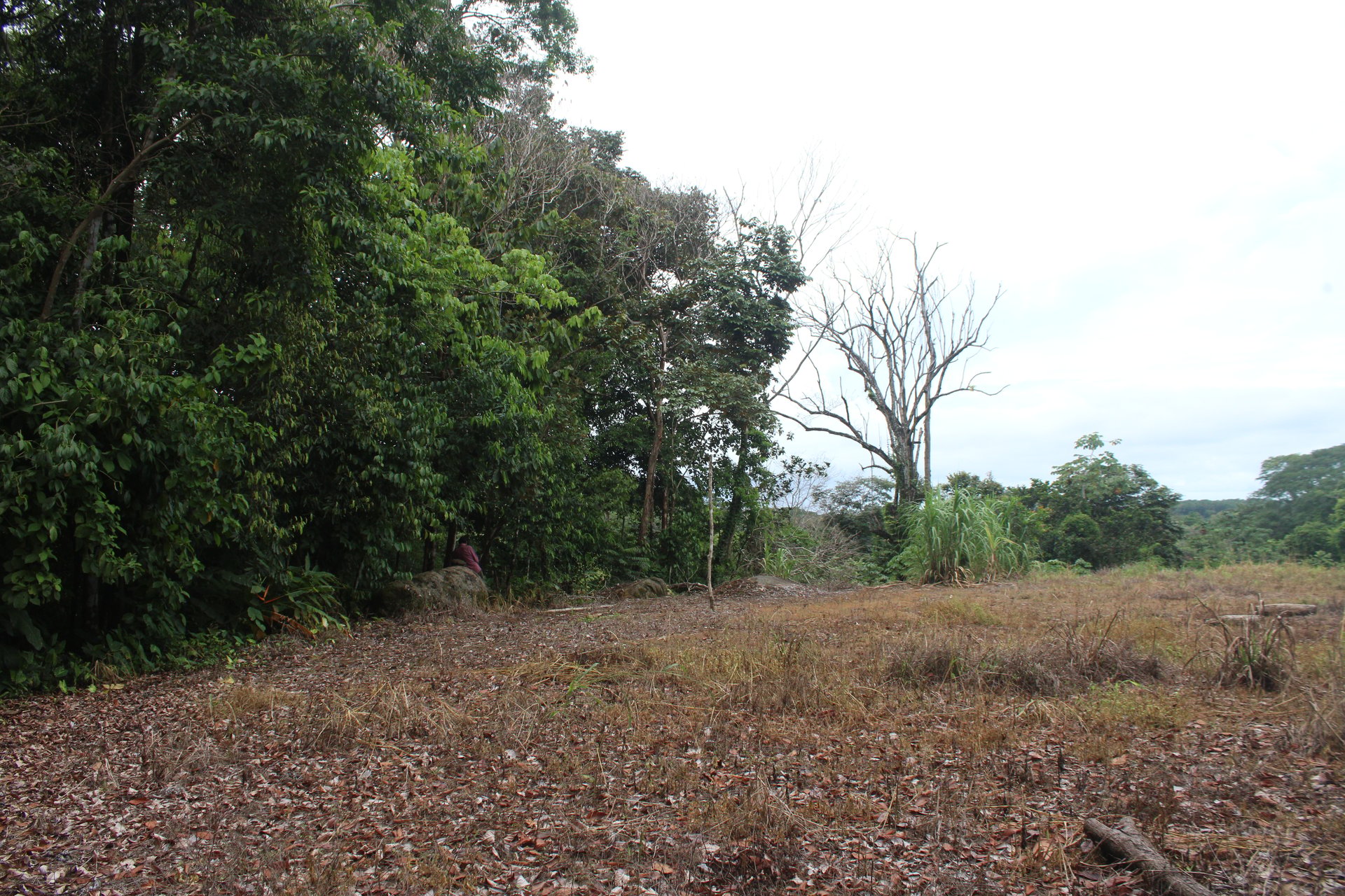 Spectacular and Affordable Property close to Dominical