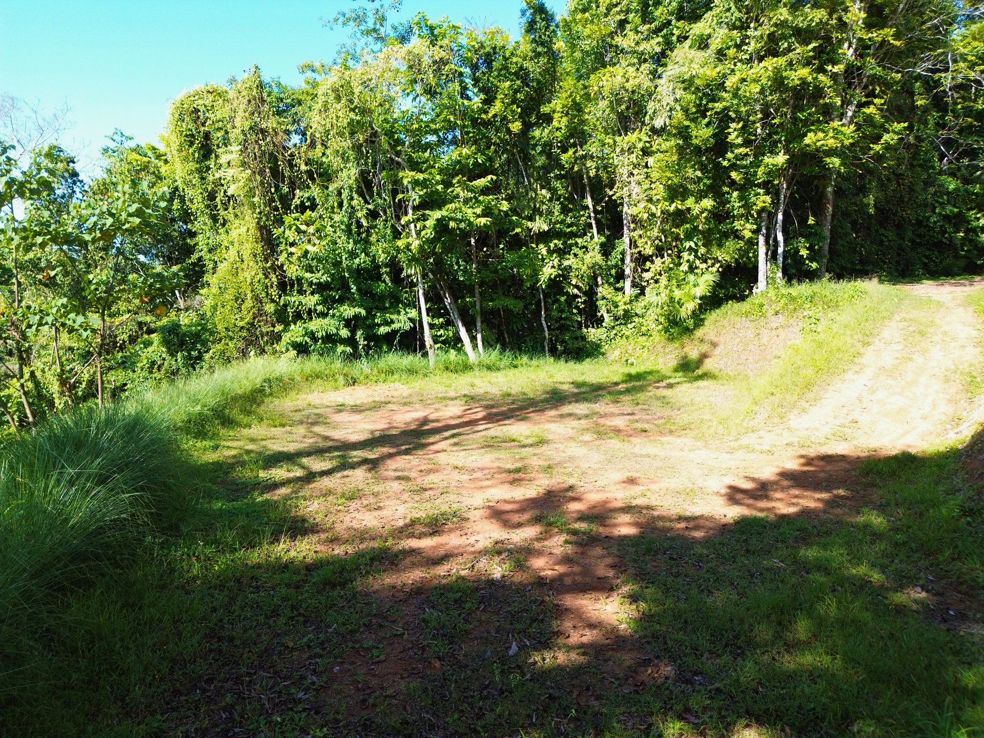 Build-Ready Ocean View Lot in Uvita Hills