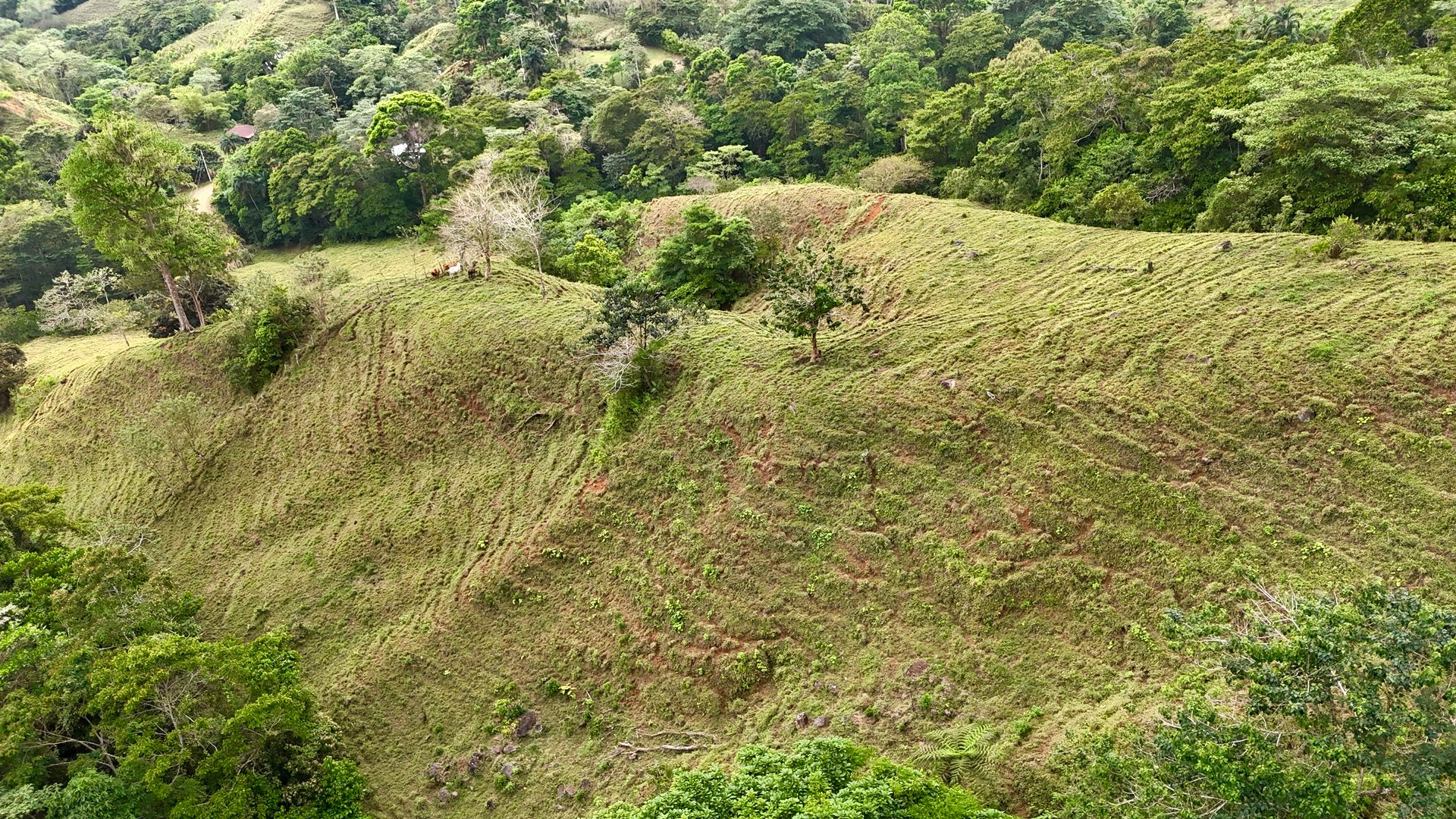 Gorgeous Land in San Luis Morete - Uvita - Over 17 Acres