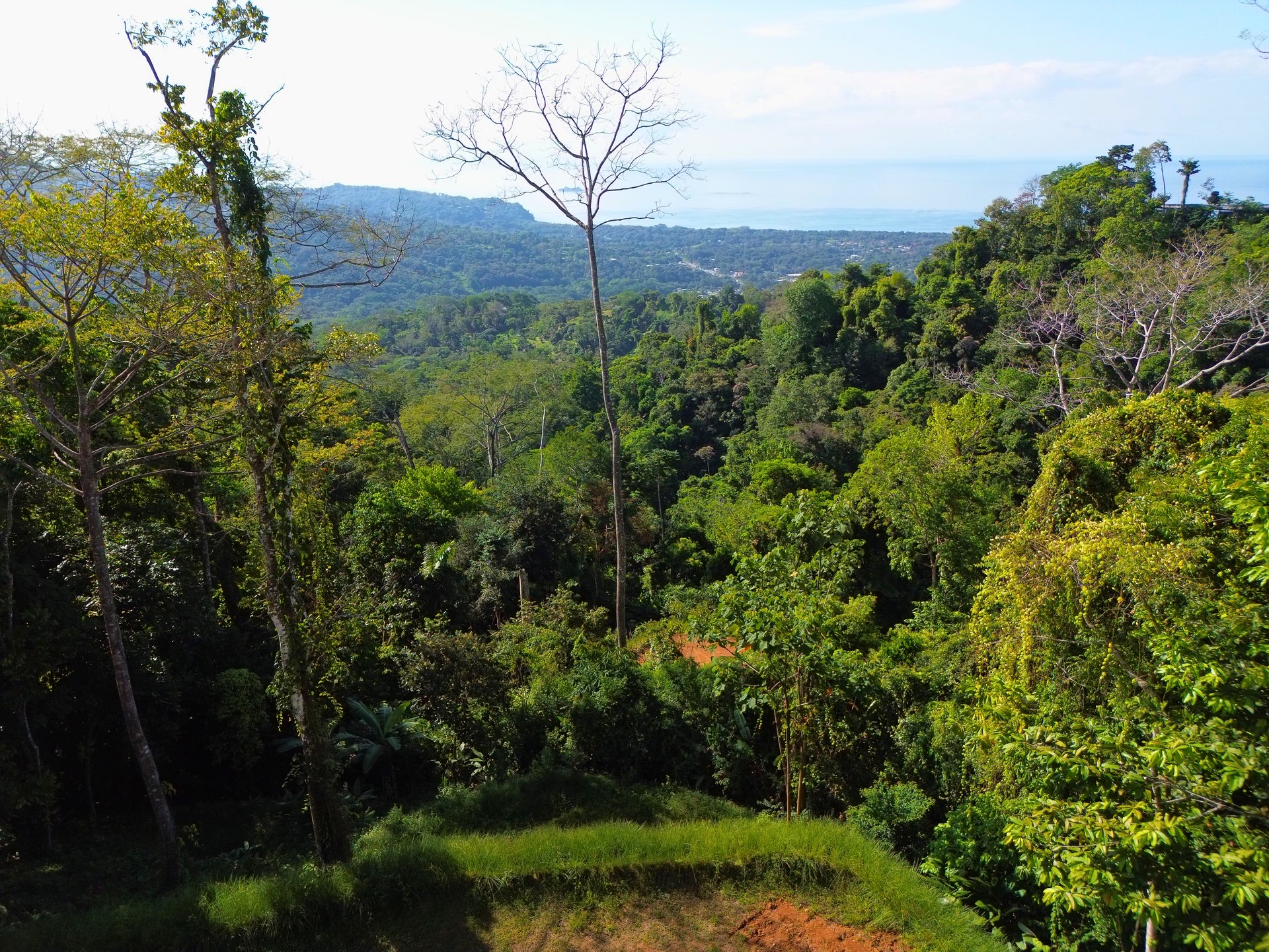 Build-Ready Ocean View Lot in Uvita Hills