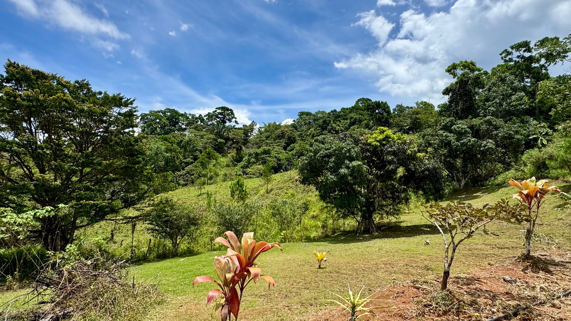 Spring, Waterfalls and more!  Farm in San Vito Limoncito!
