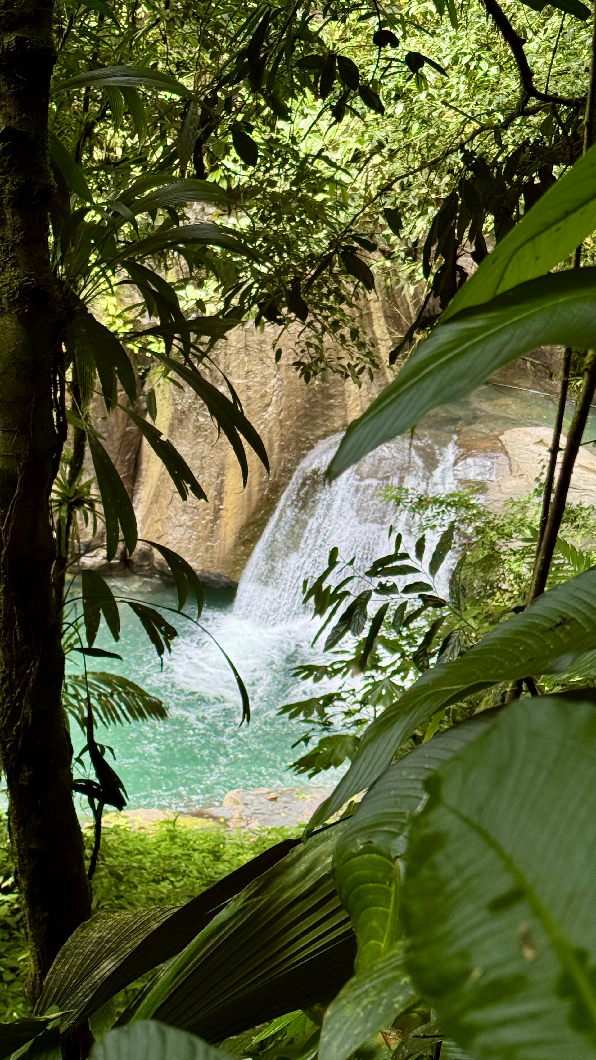 Uvita Development Farm - 45.4 Acres Estate