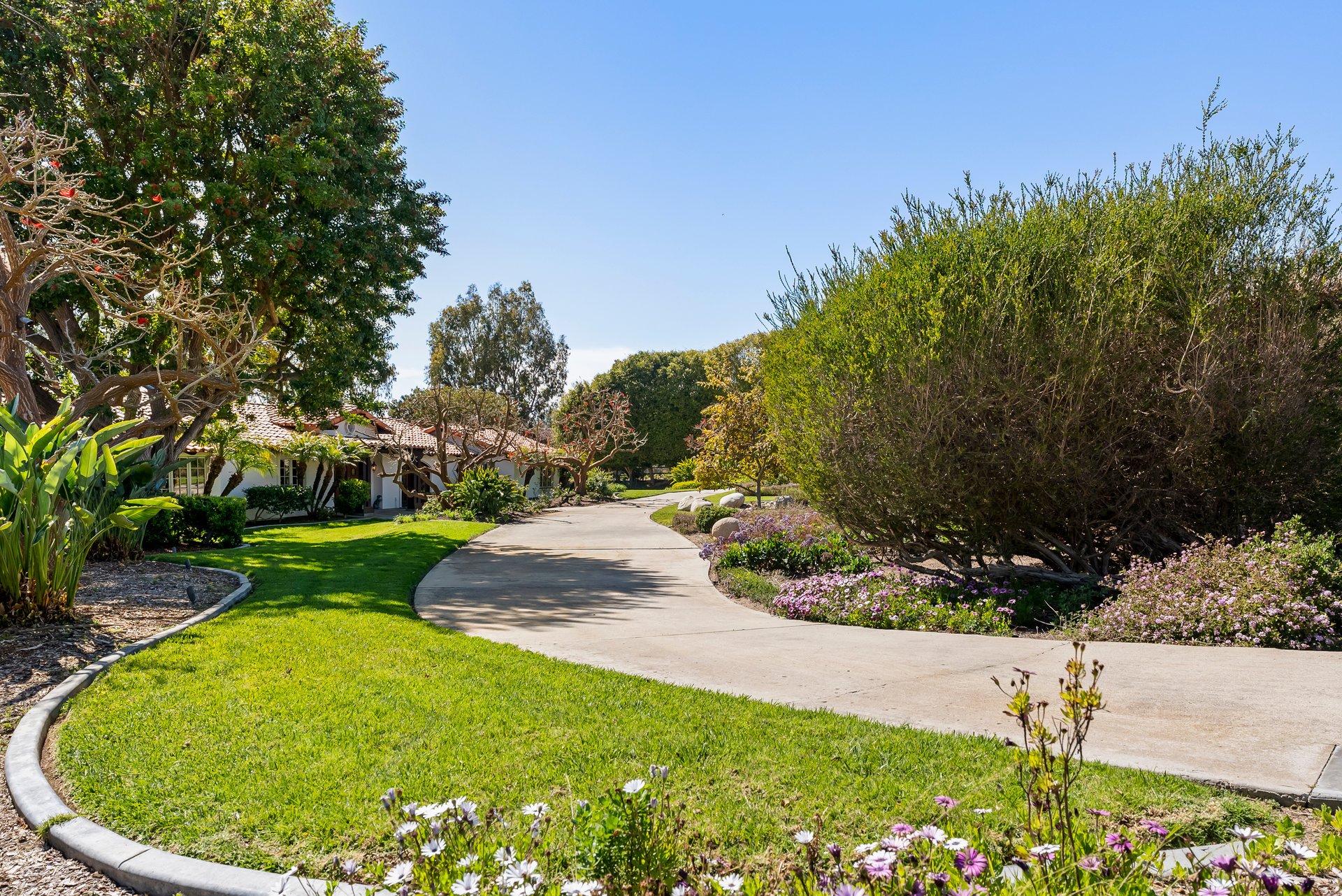 Classic Rancho Santa Fe