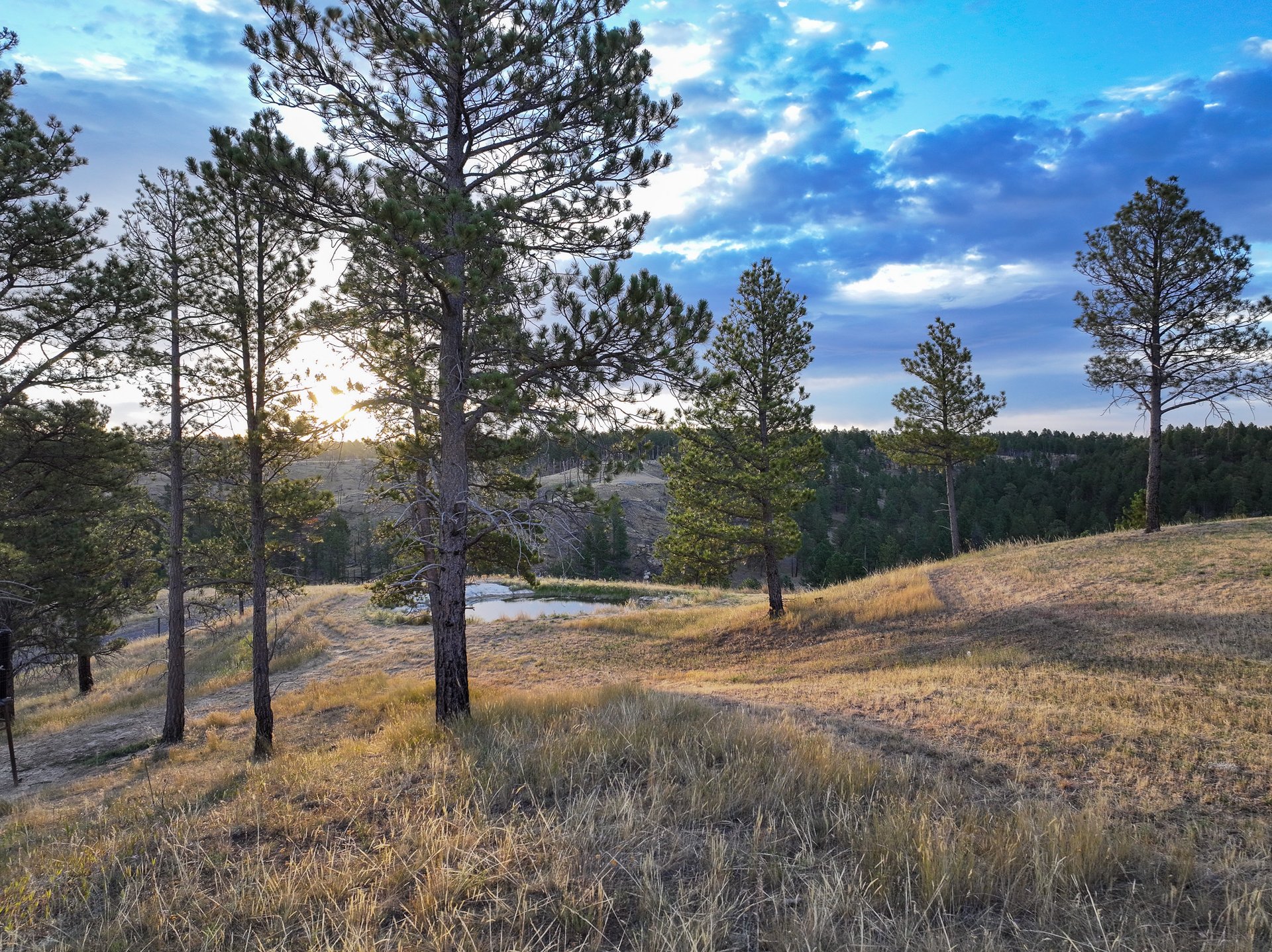 Sundance Ranch 