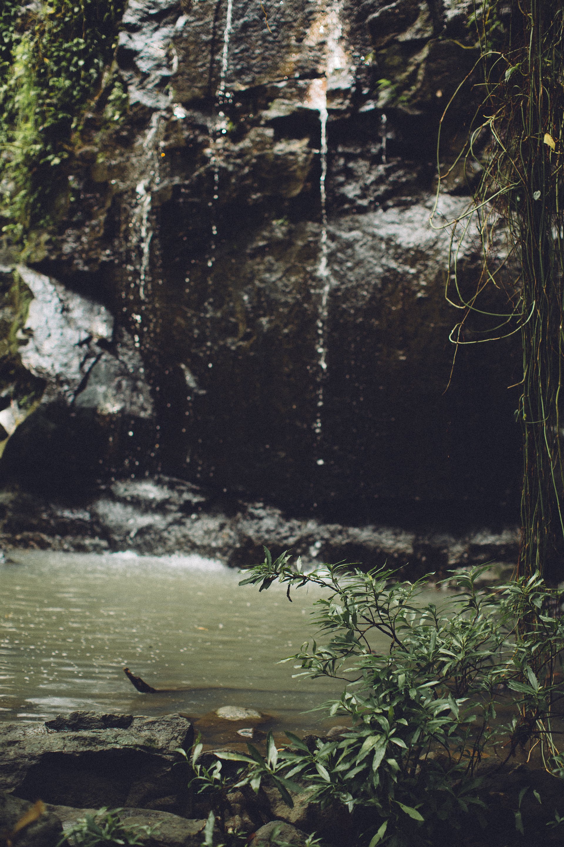  Punta Sabana & Mar Serena: Own the Last Great Coastline in Costa Rica!