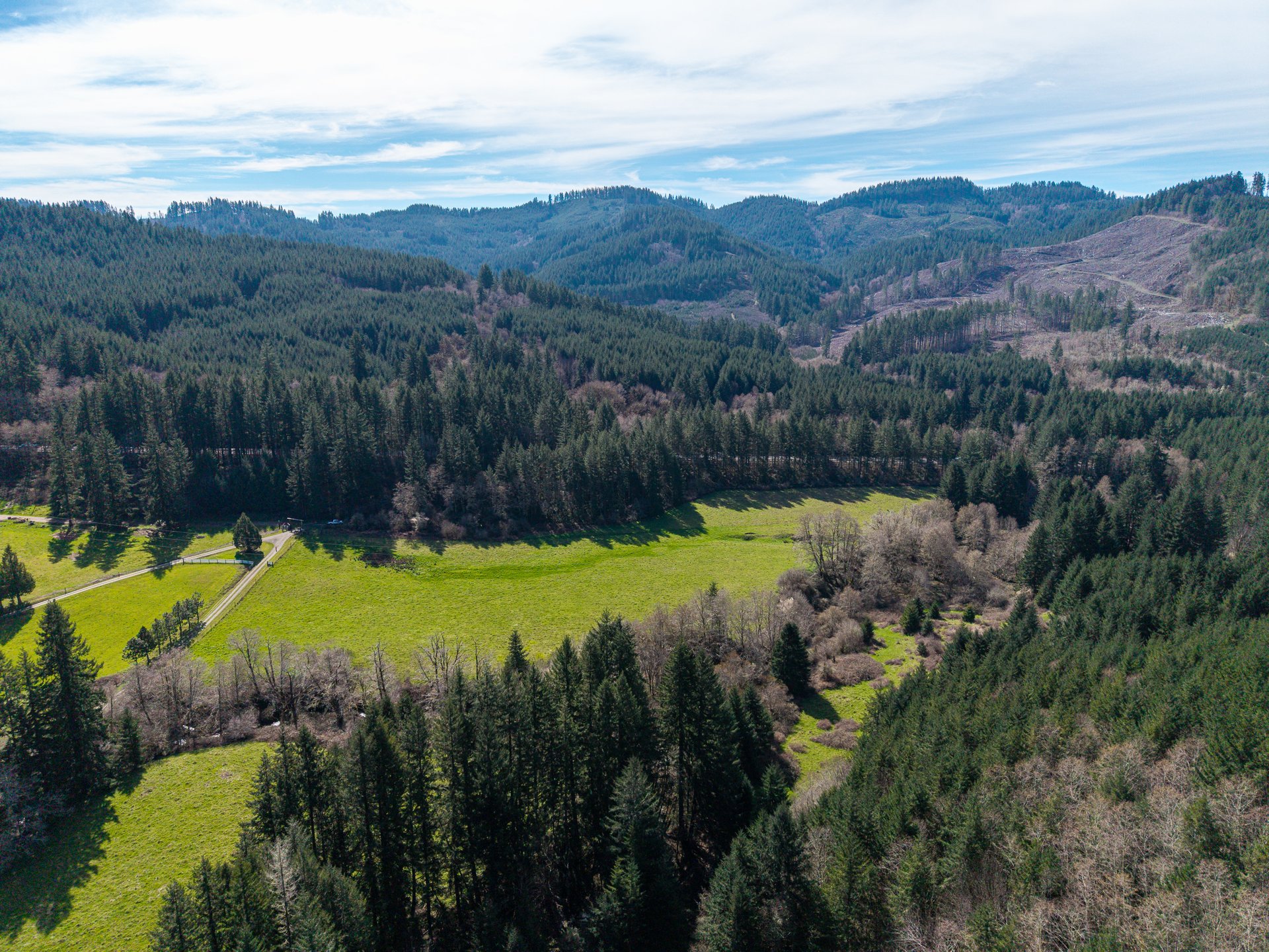 LITTLE ELK TREEFARM