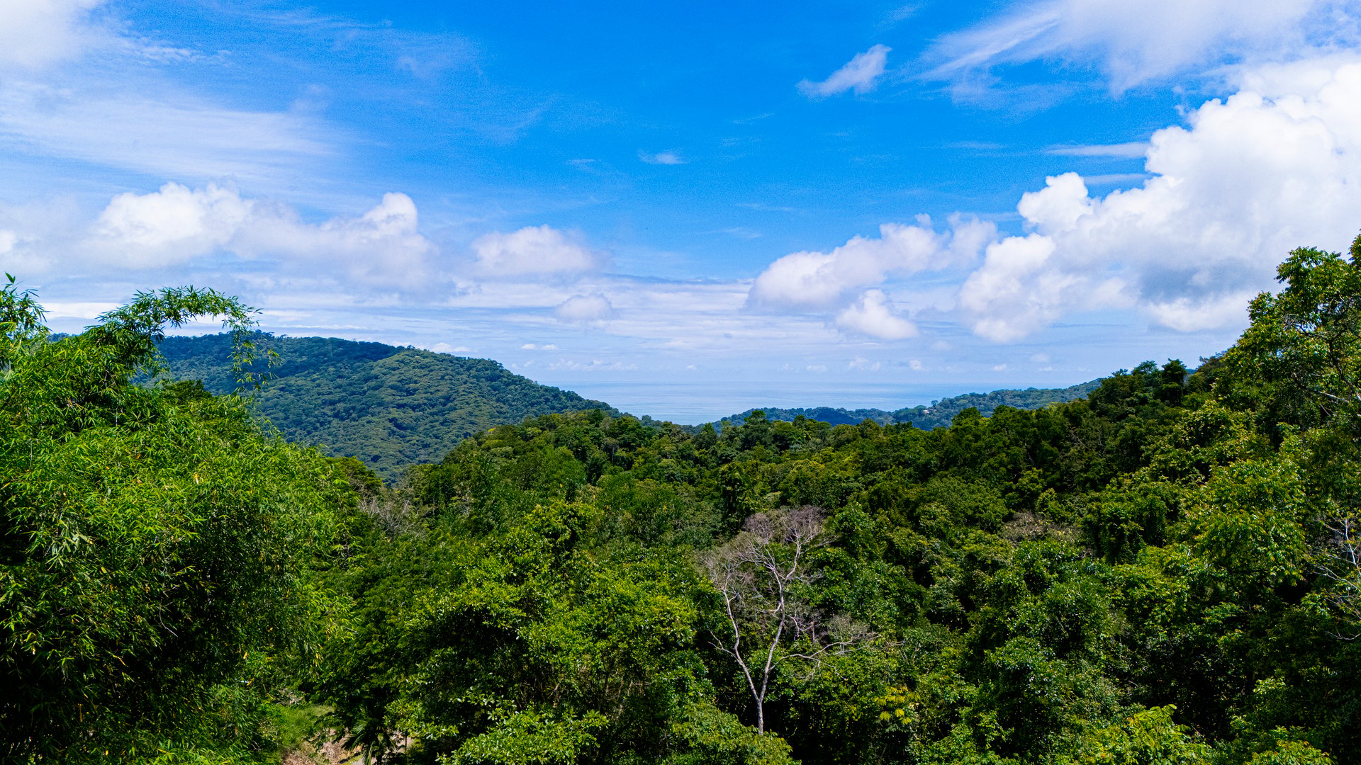 Casa Vista Hermosa