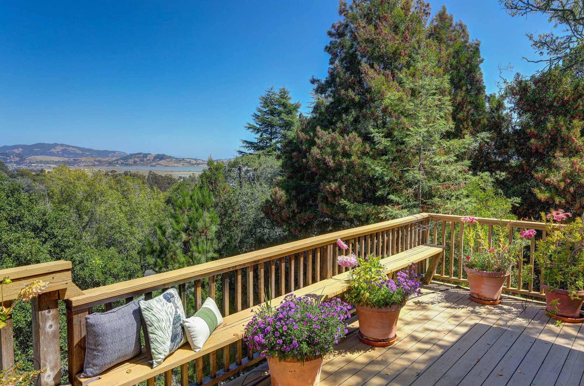 1121 Meadowsweet