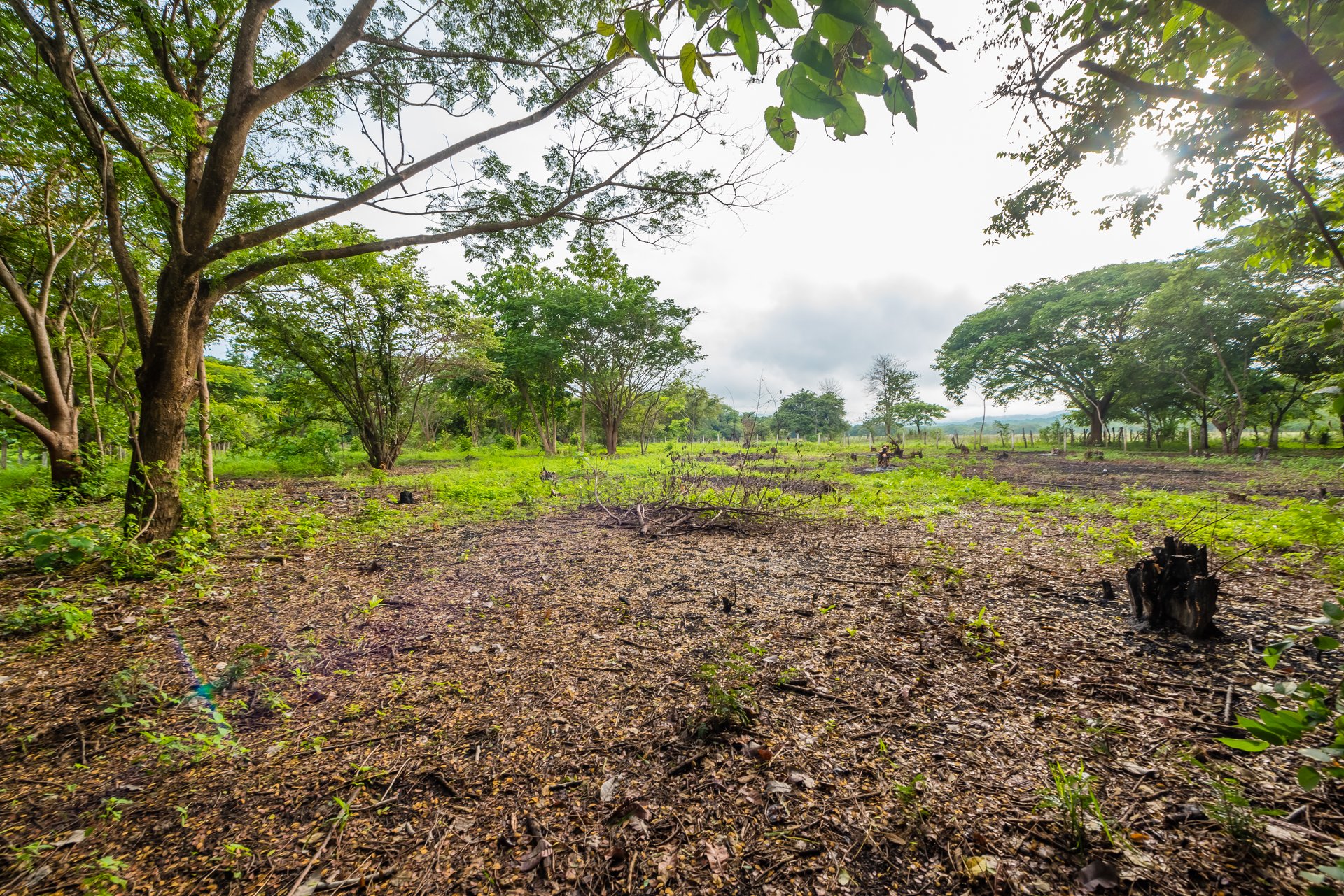 La Garita de Tamarindo Lot | 1.3-Acre Home Site Near Top Beaches, Private, Scenic, and Well-Located