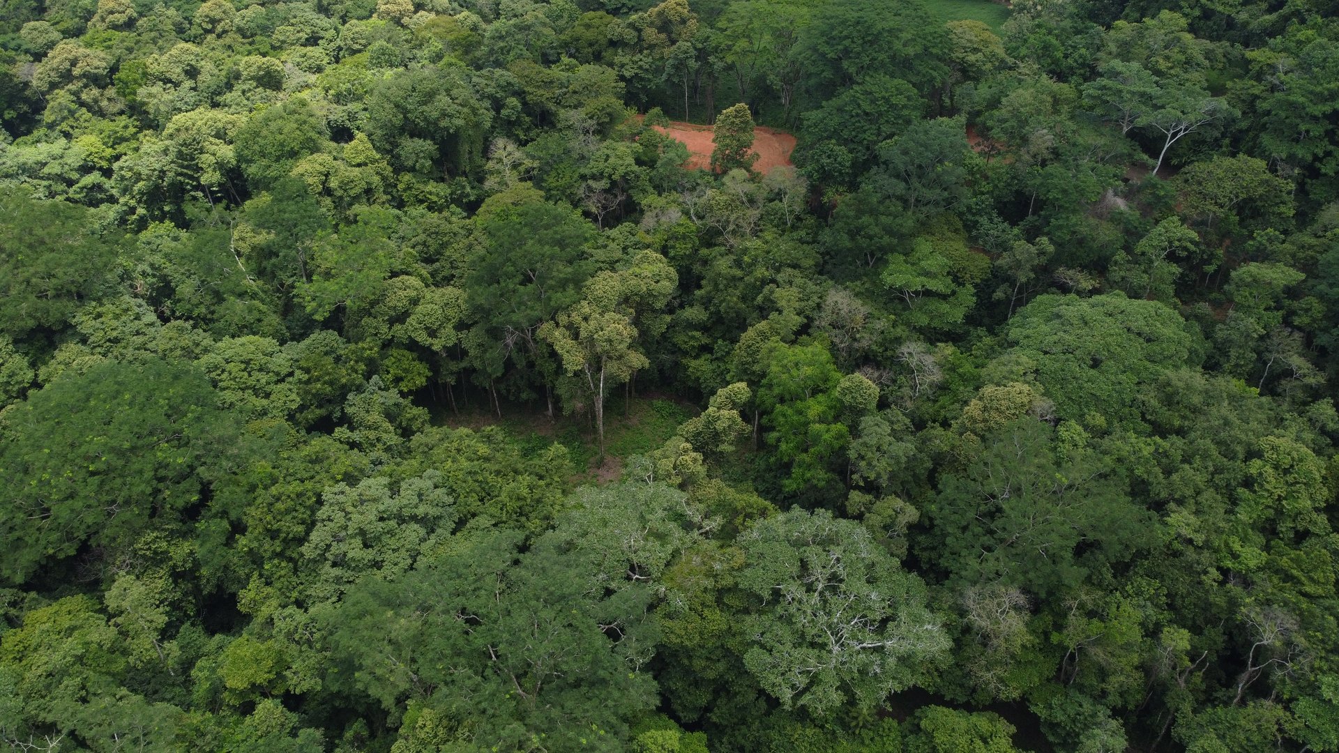 Jungle Oasis with River Frontage Near Dominical – 5.2 Acres of Pure Nature