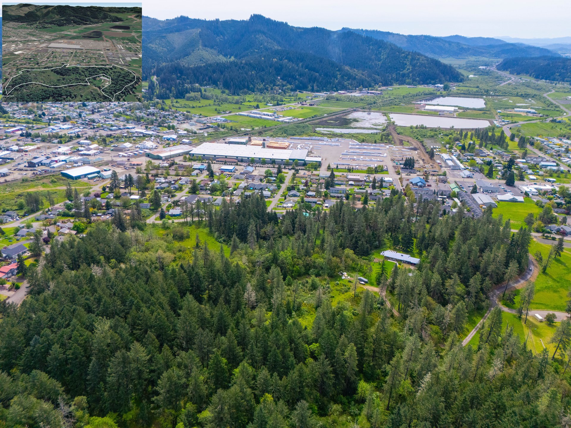 SUTHERLIN WOODLOTS