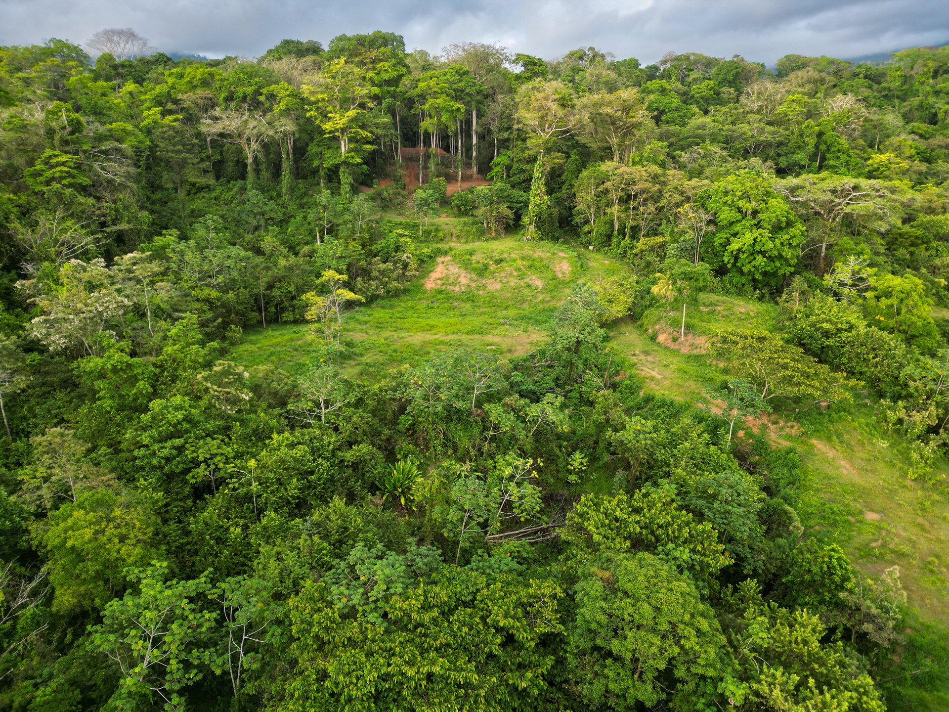 Build Your Vision in Uvita – 15.9 Ocean View Acres with Easy Access + Utilities Ready!