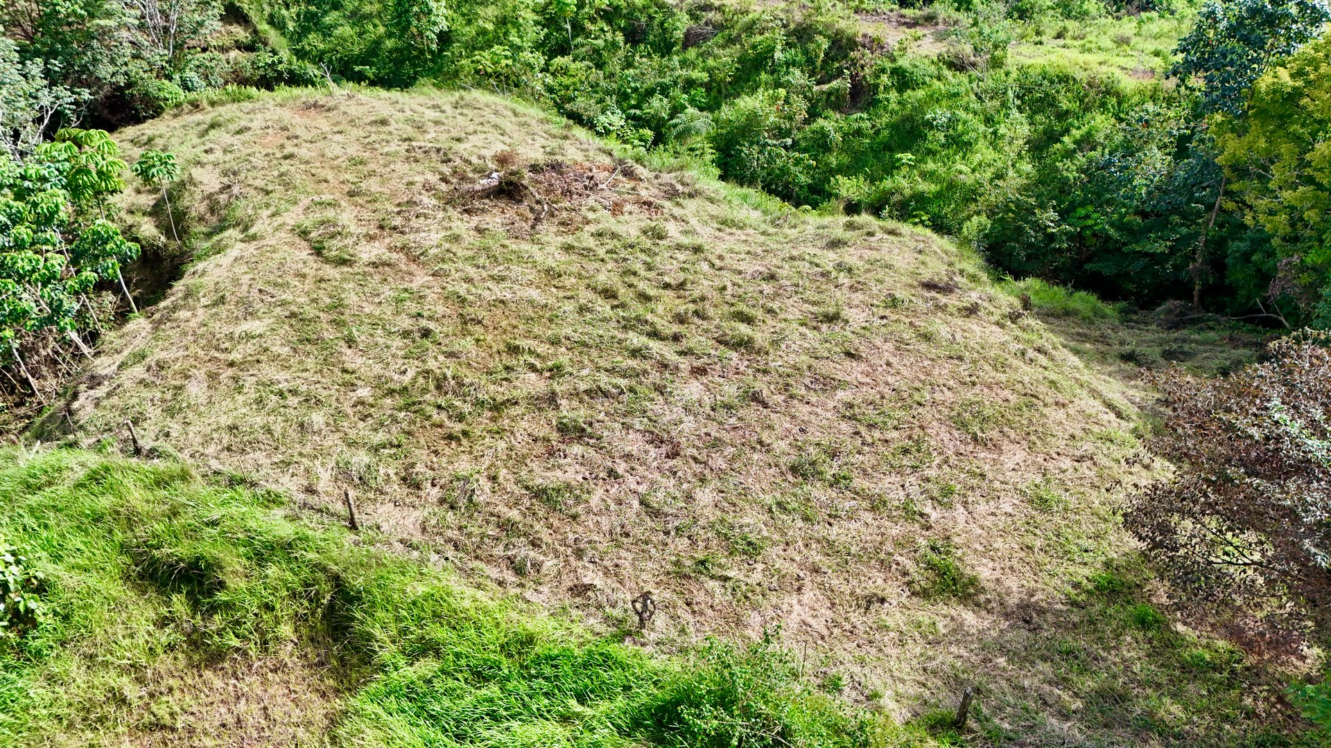 Off-Grid Ocean View Lot | 1.7 Acres in Las Nubes Matapalo Hills 