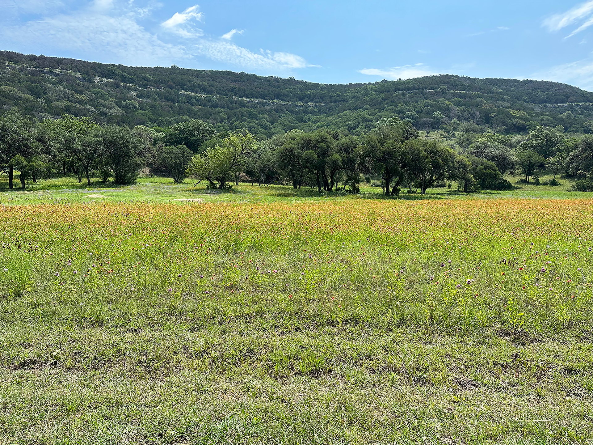 Frio Cañon, Lot 8