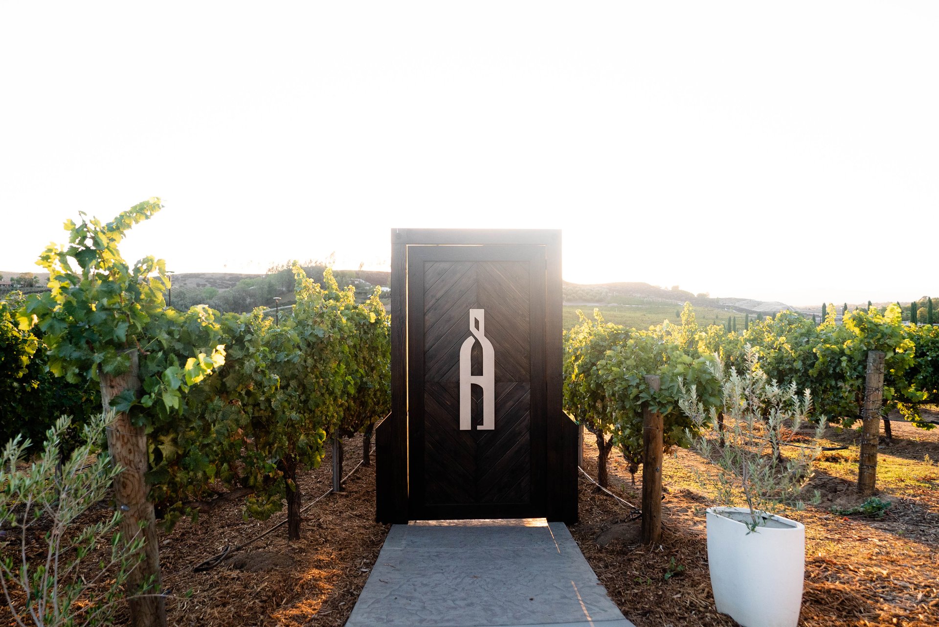 Akash Manor 🍇