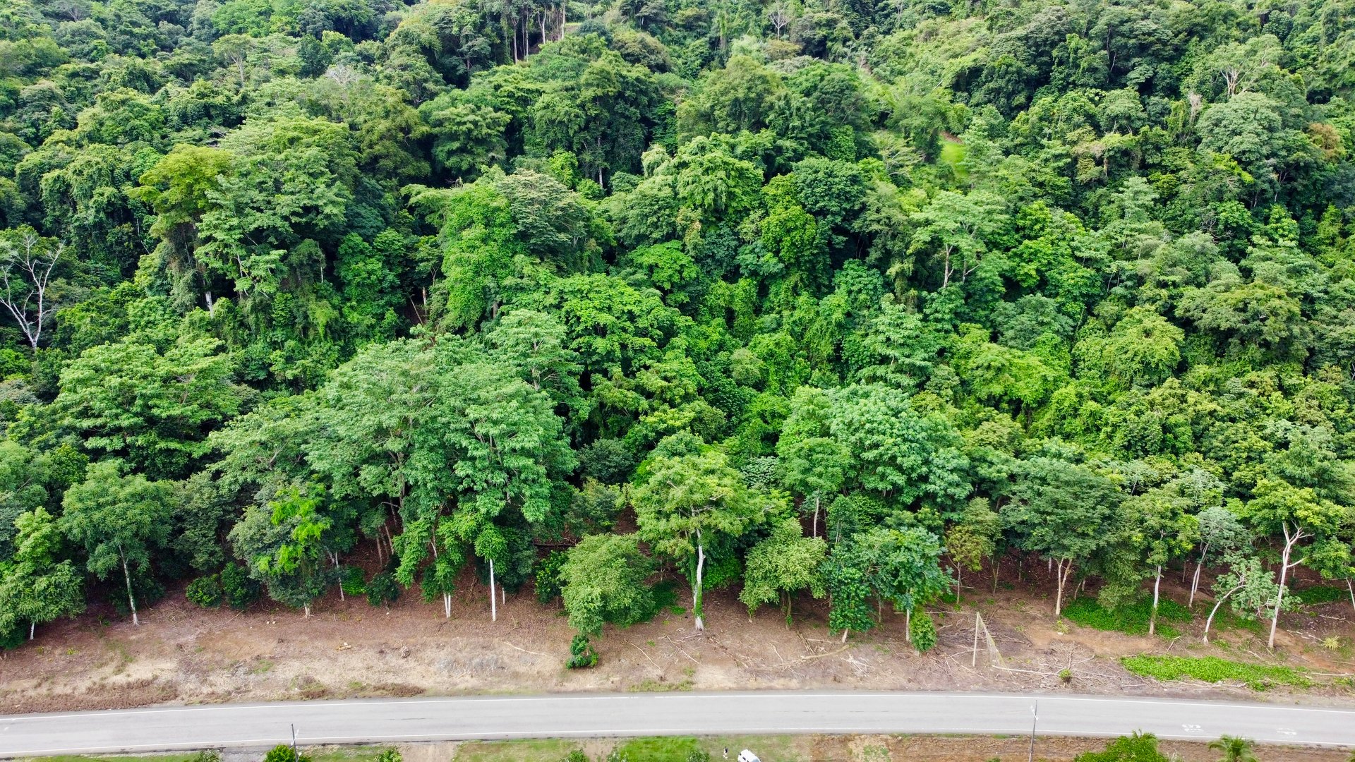 Tawal Lots for Sale – Prime Commercial & Residential Opportunity