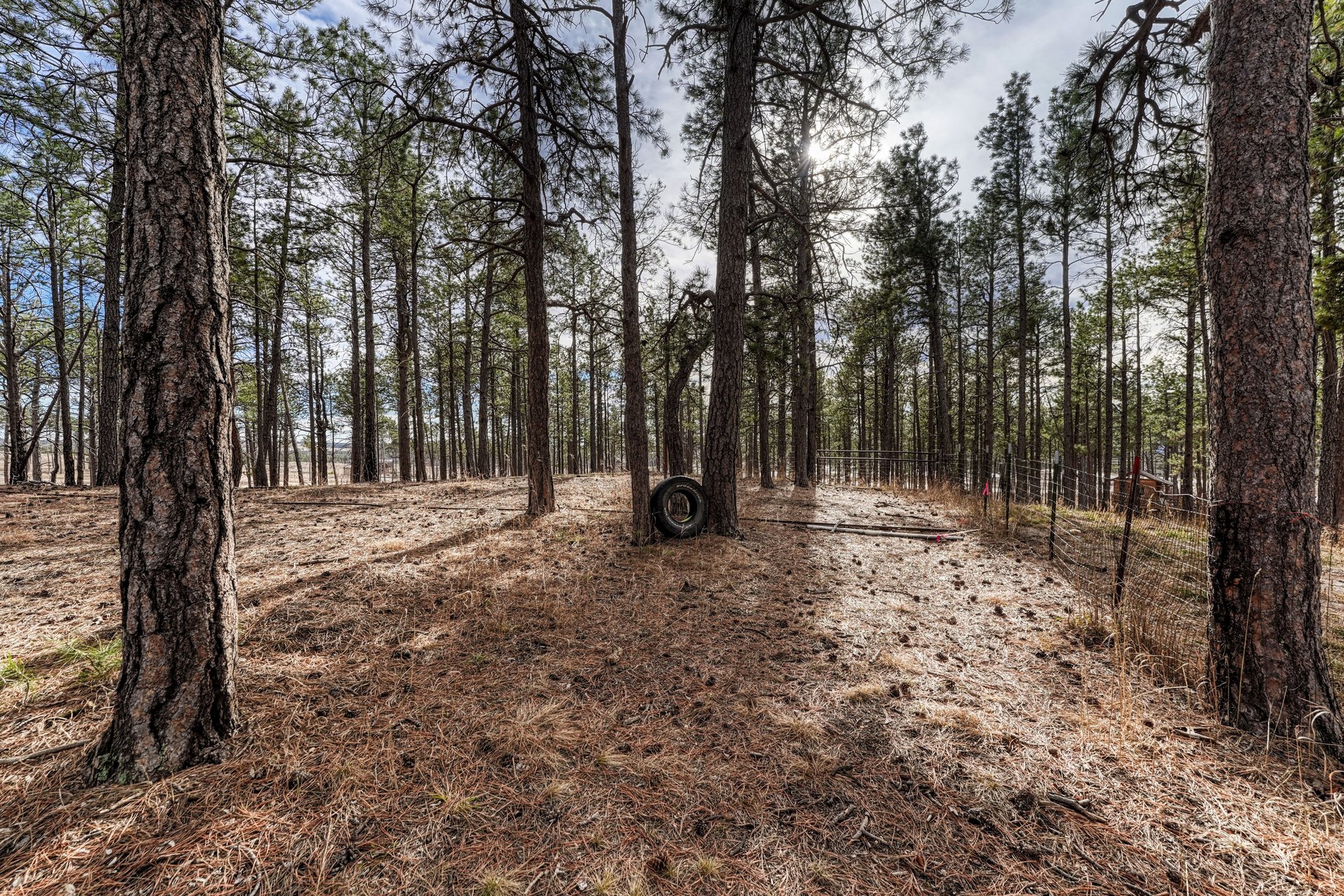 14425 Black Forest Road