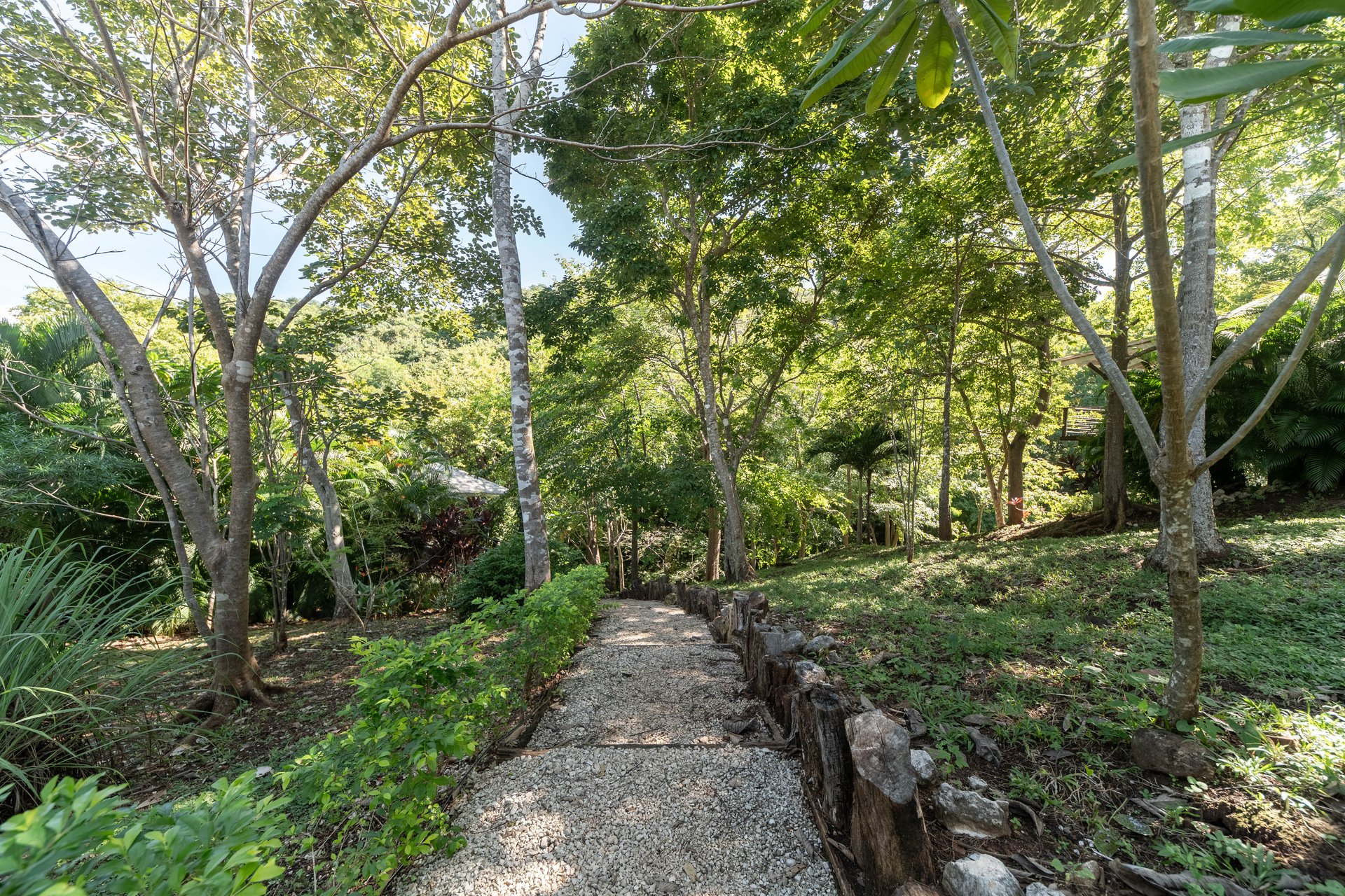 Mikado Natural Lodge | Turnkey Eco Lodge with Ocean Views & Expansion Potential in Guanacaste