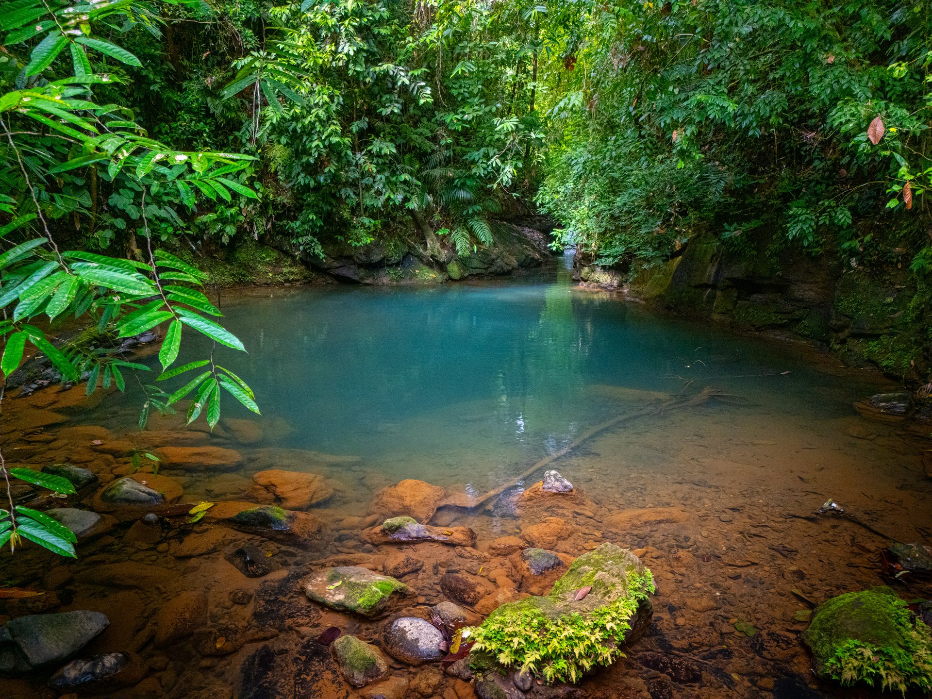 Tropical Family Compound | Luxury Home, 2 Villas, River & Cascades - 2.3 Acres