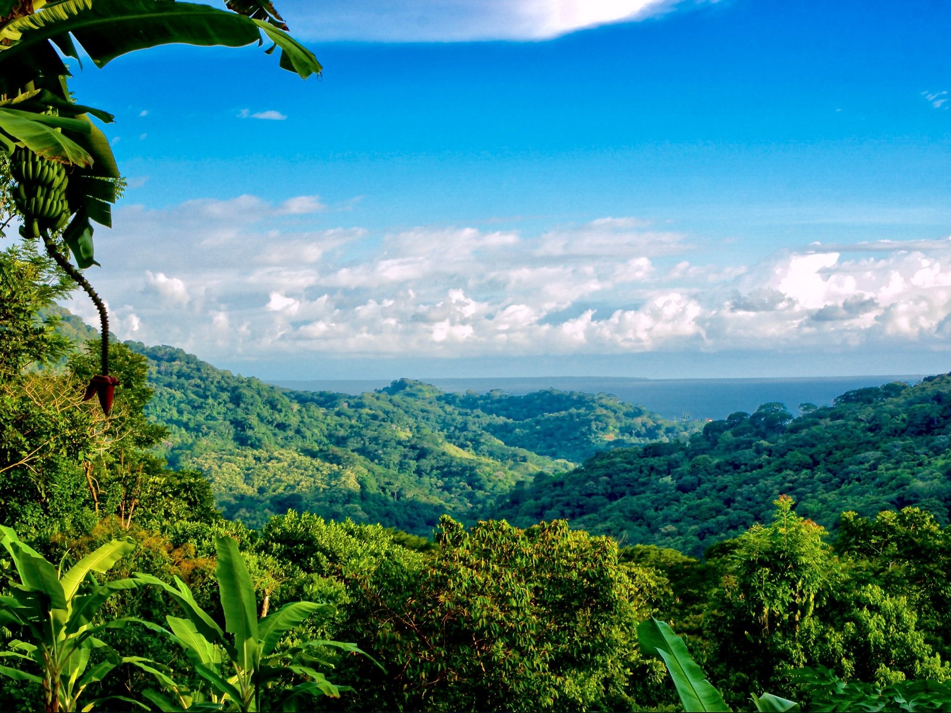 2.35 ACRES- 2 Bedroom Colorful Jungle Home With Ocean Views, Privacy, Room To Build More, Only 10 Min To Dominical!!!