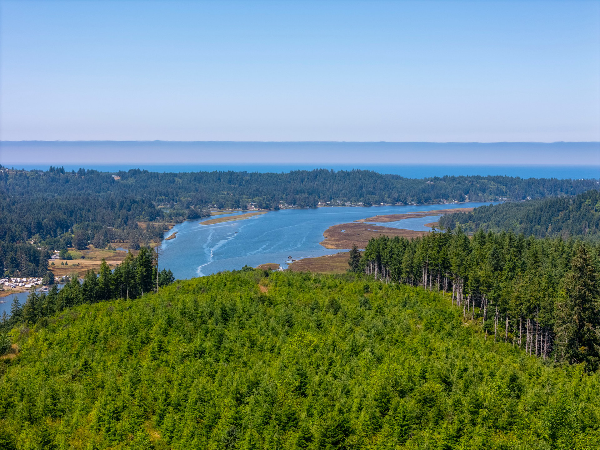 Alsea Estuary Forestland