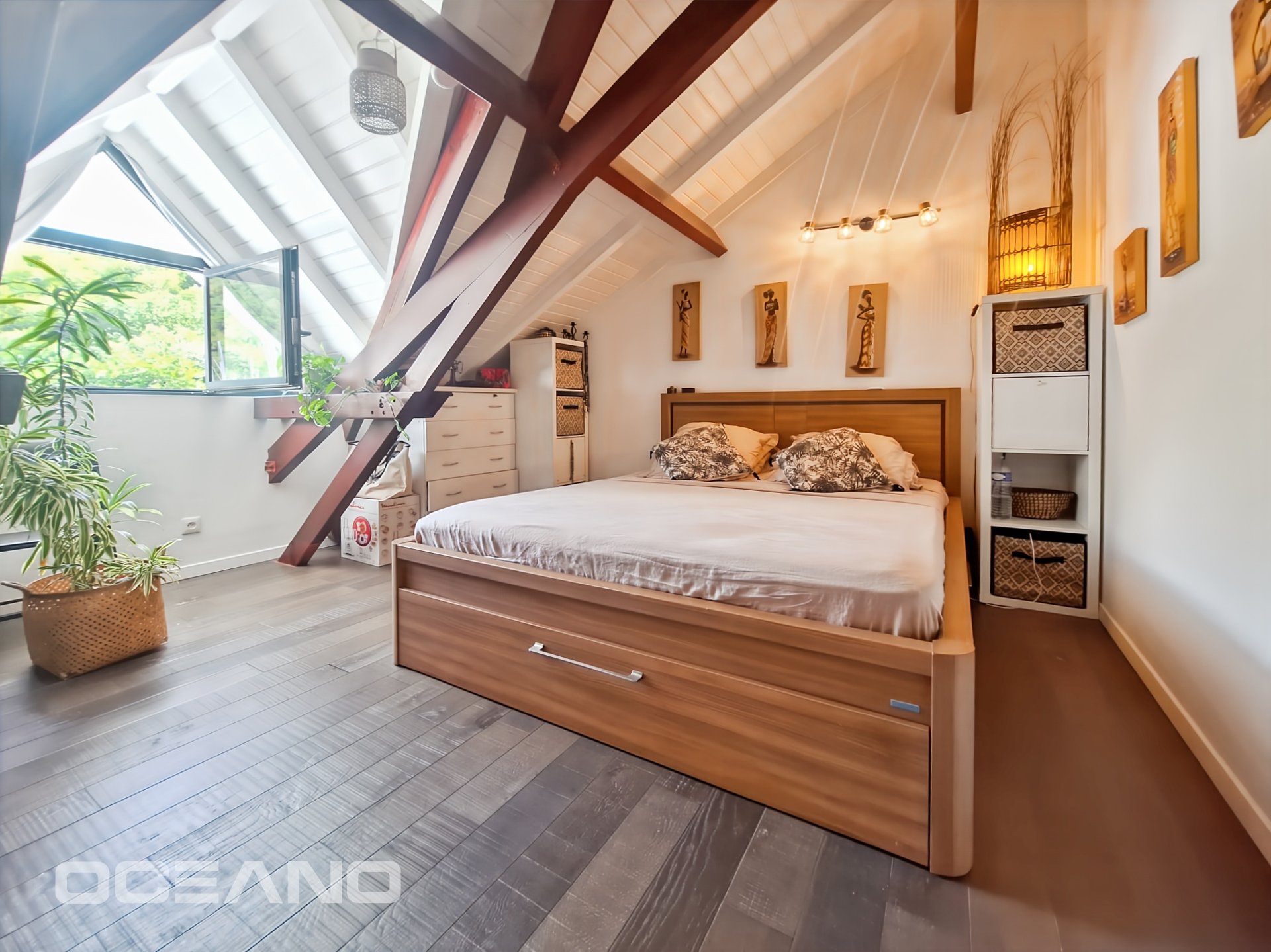 2 bedrooms apartment - Anse Marcel