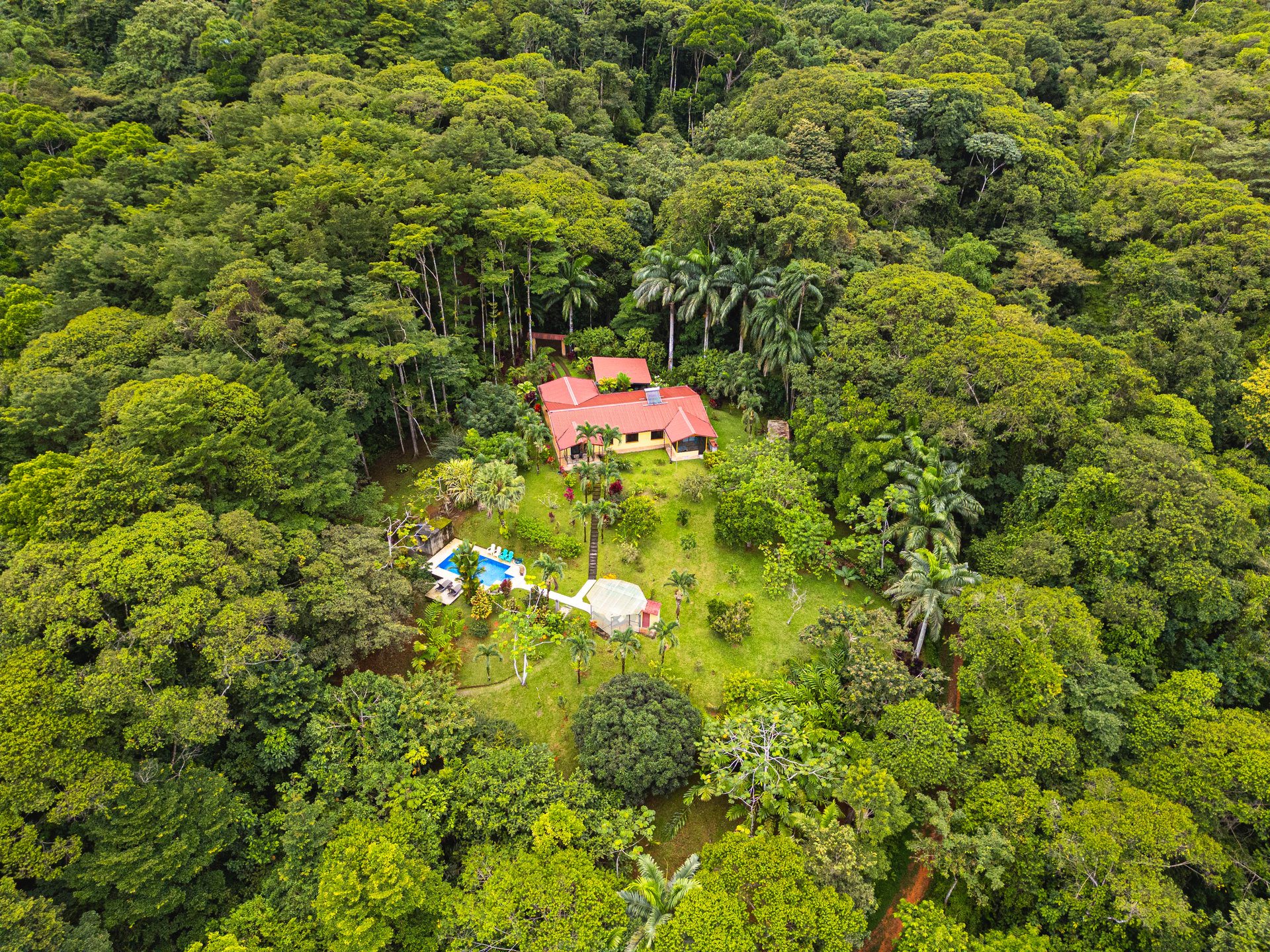 Serene Costa Rican Jungle Retreat with Waterfalls & Wildlife
