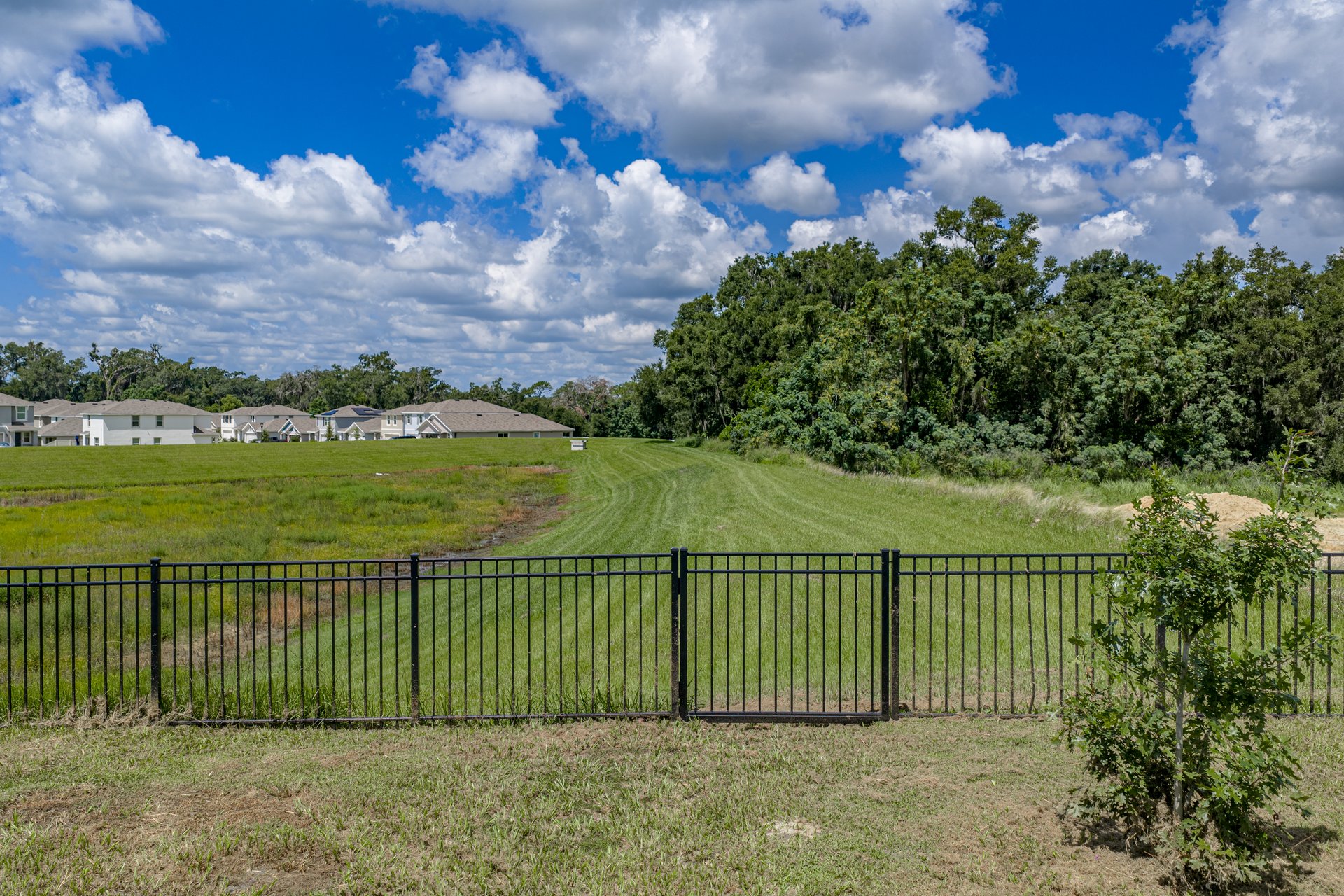 35397 SPRUCE KNOB CT