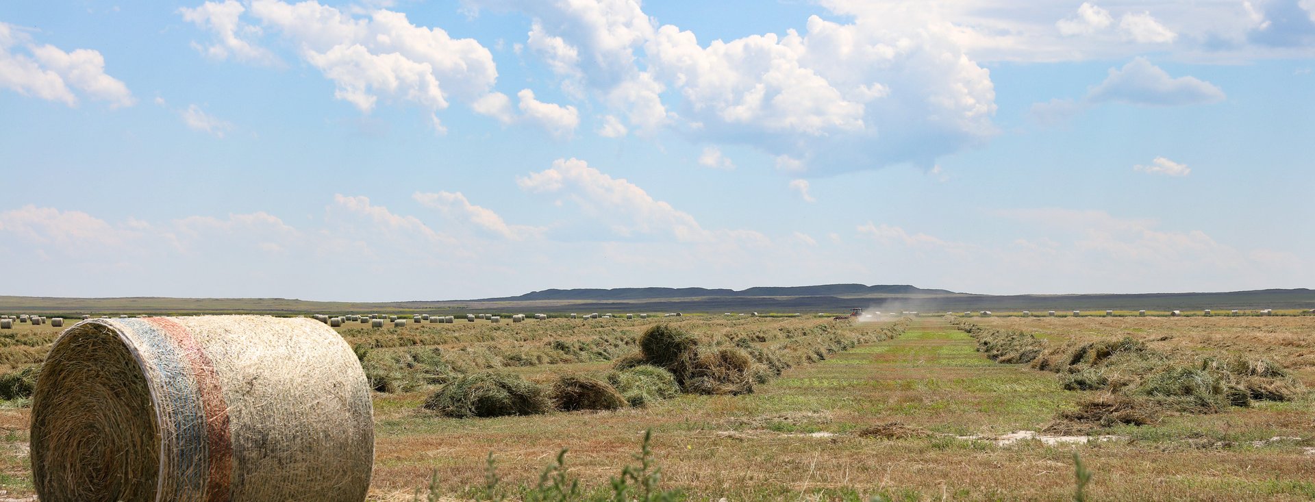 Spurs and Furs Ranch