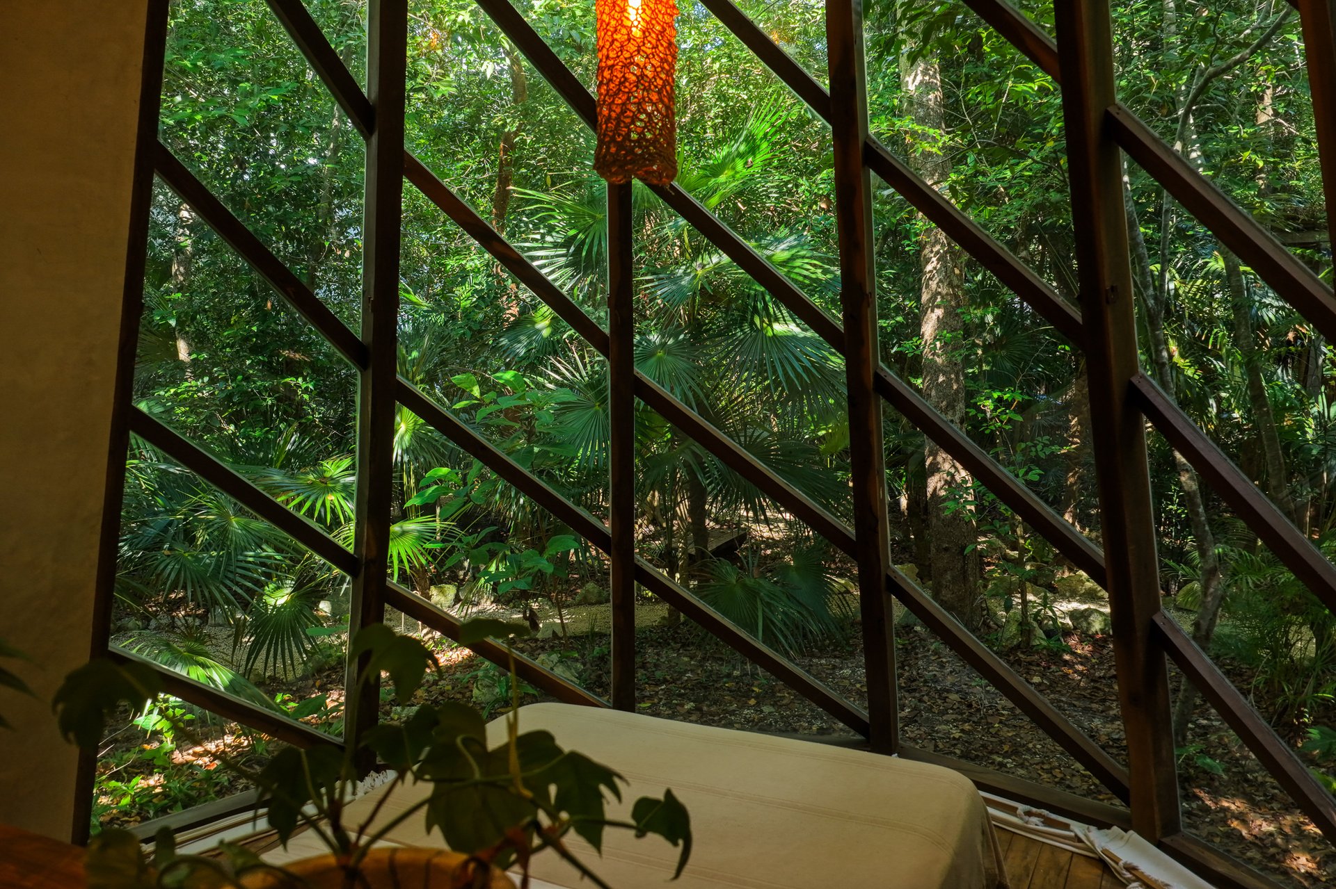SELVATIK JUNGLE PODS 