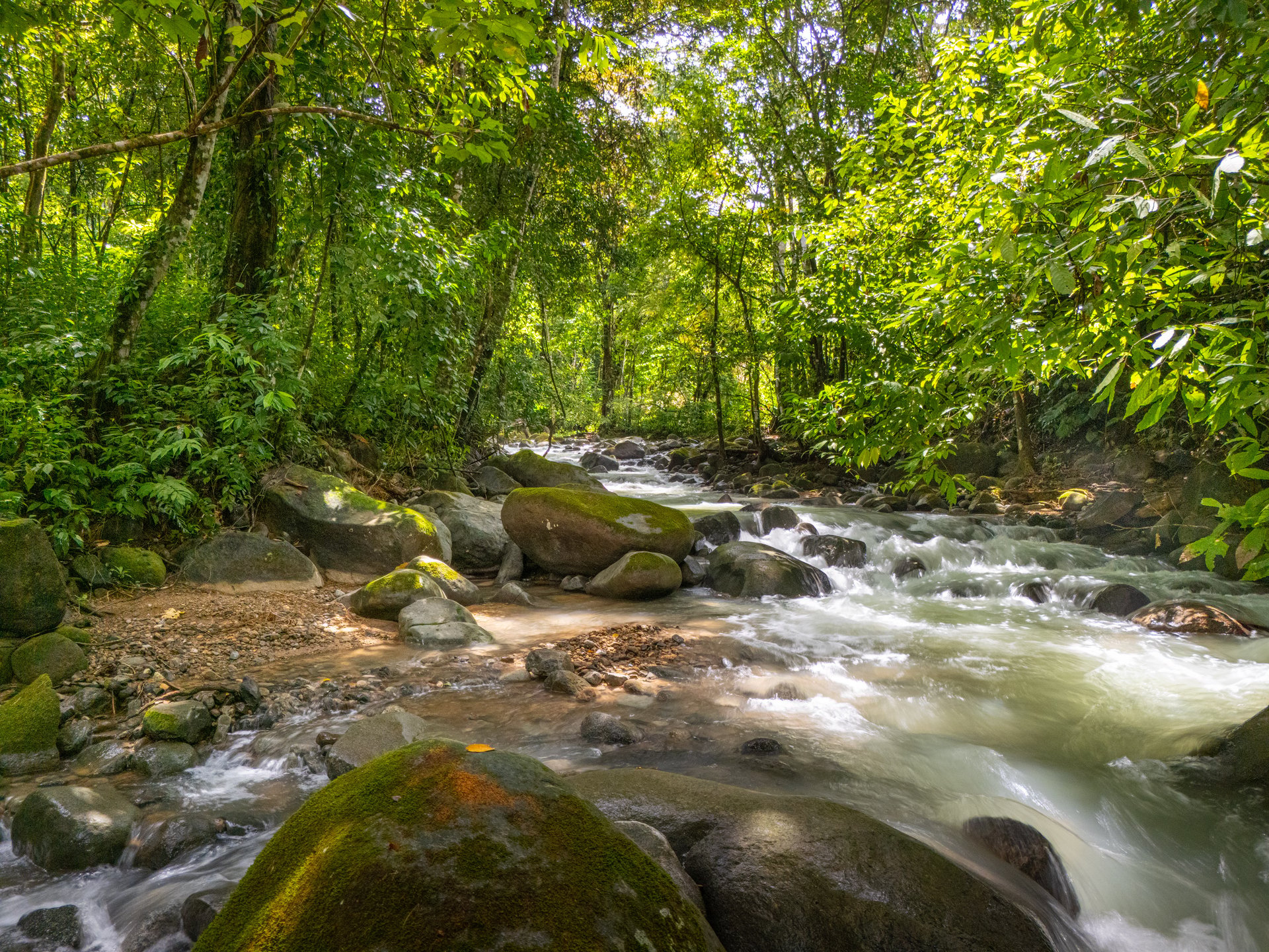 Plant Your Roots at Tierra Bendita! 2.5 Acres, River Frontage, 2 Bedroom Home, Private, Easy Access!