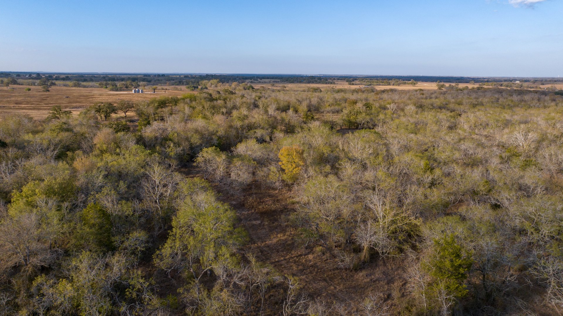 Gonzales County | 104+/- Acres