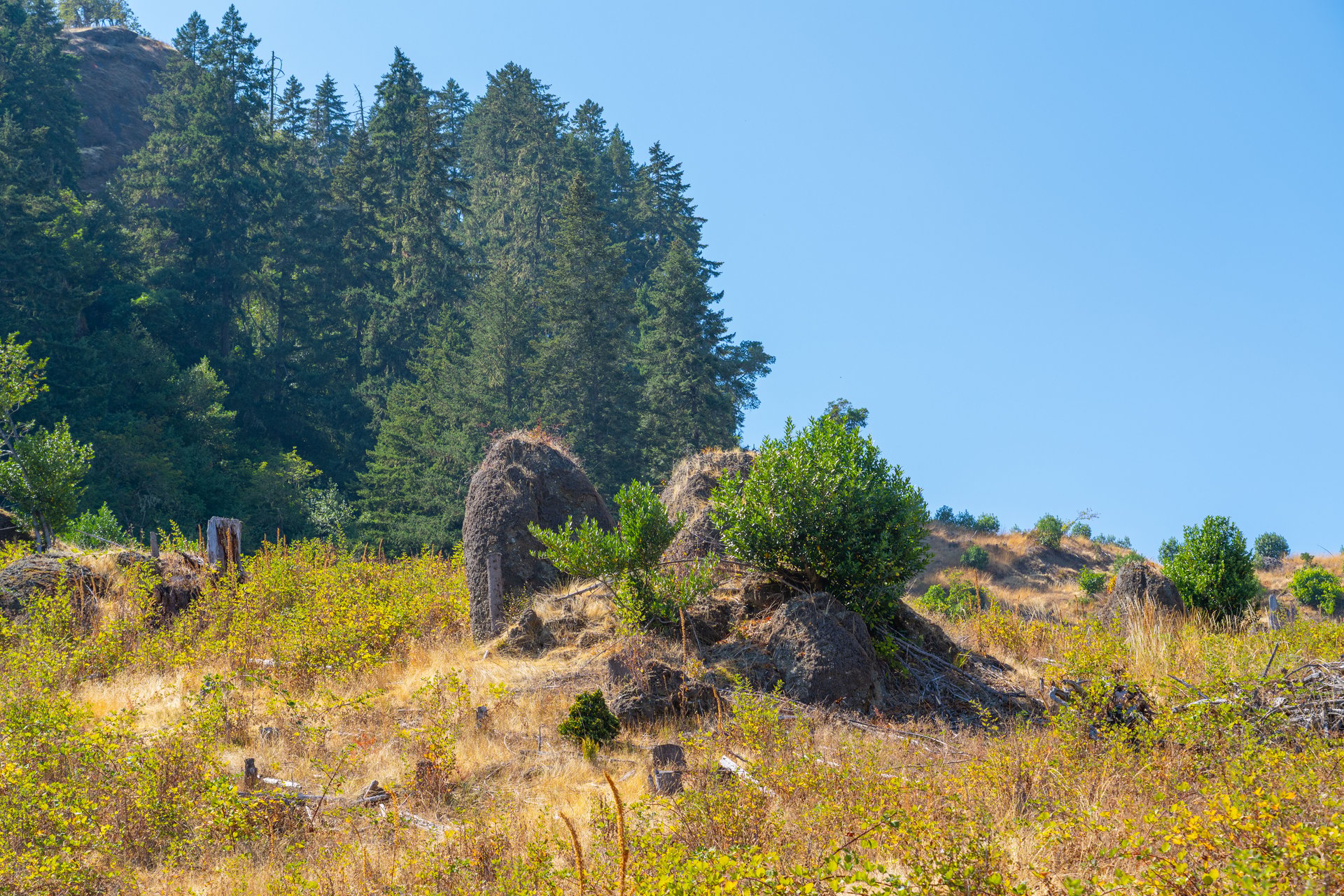 STRICKLAND CANYON HOMESITE