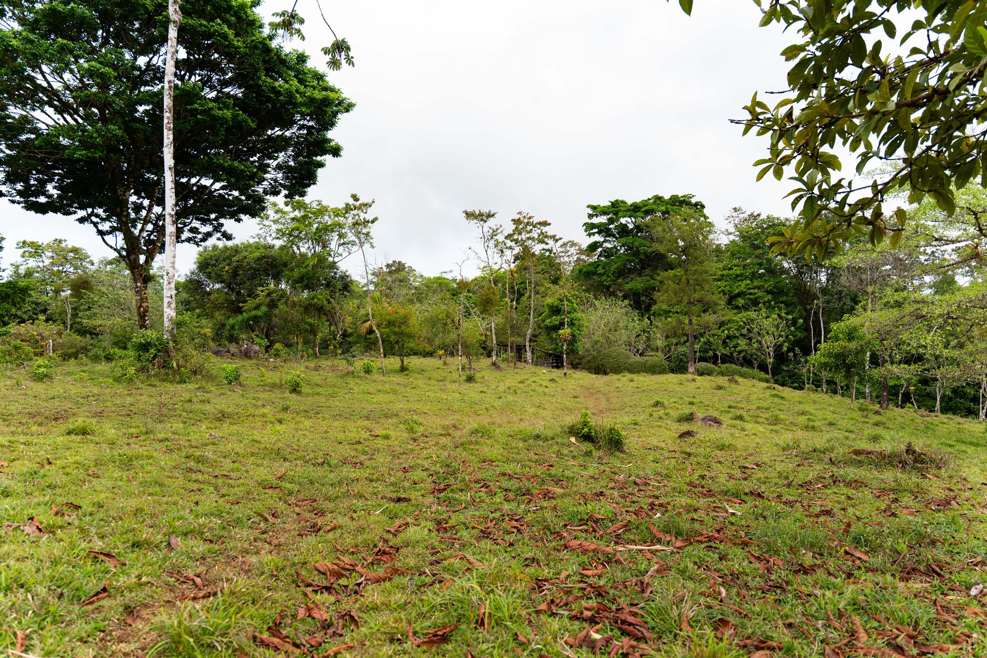 Finca Las Zompopas-Río Celeste | 113-Acre Biodiverse Property in Bijagua, Ideal for Eco-Tourism, Private Retreats, or Sustainable Development