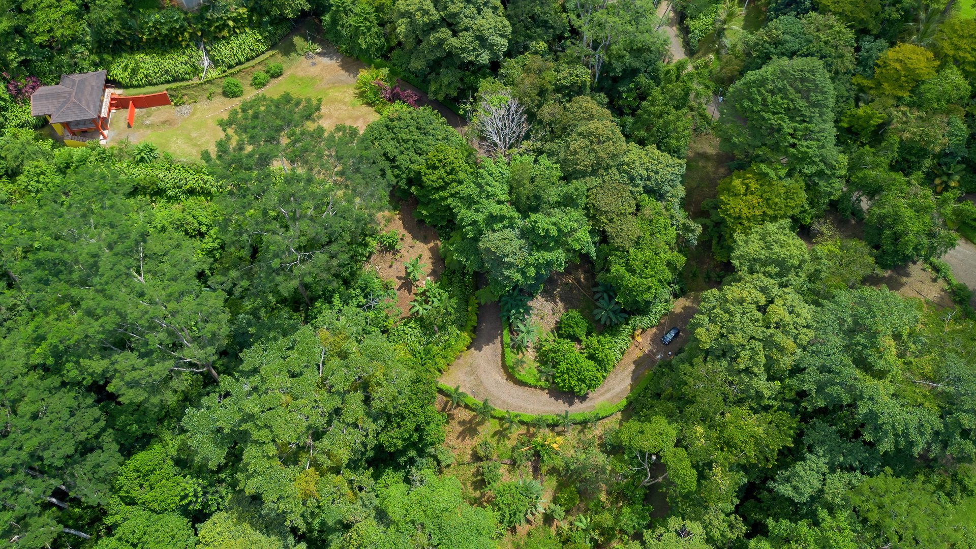 Build-Ready Ocean View Land with Guest House & Fruit Orchard | Tres Rios, Costa Rica