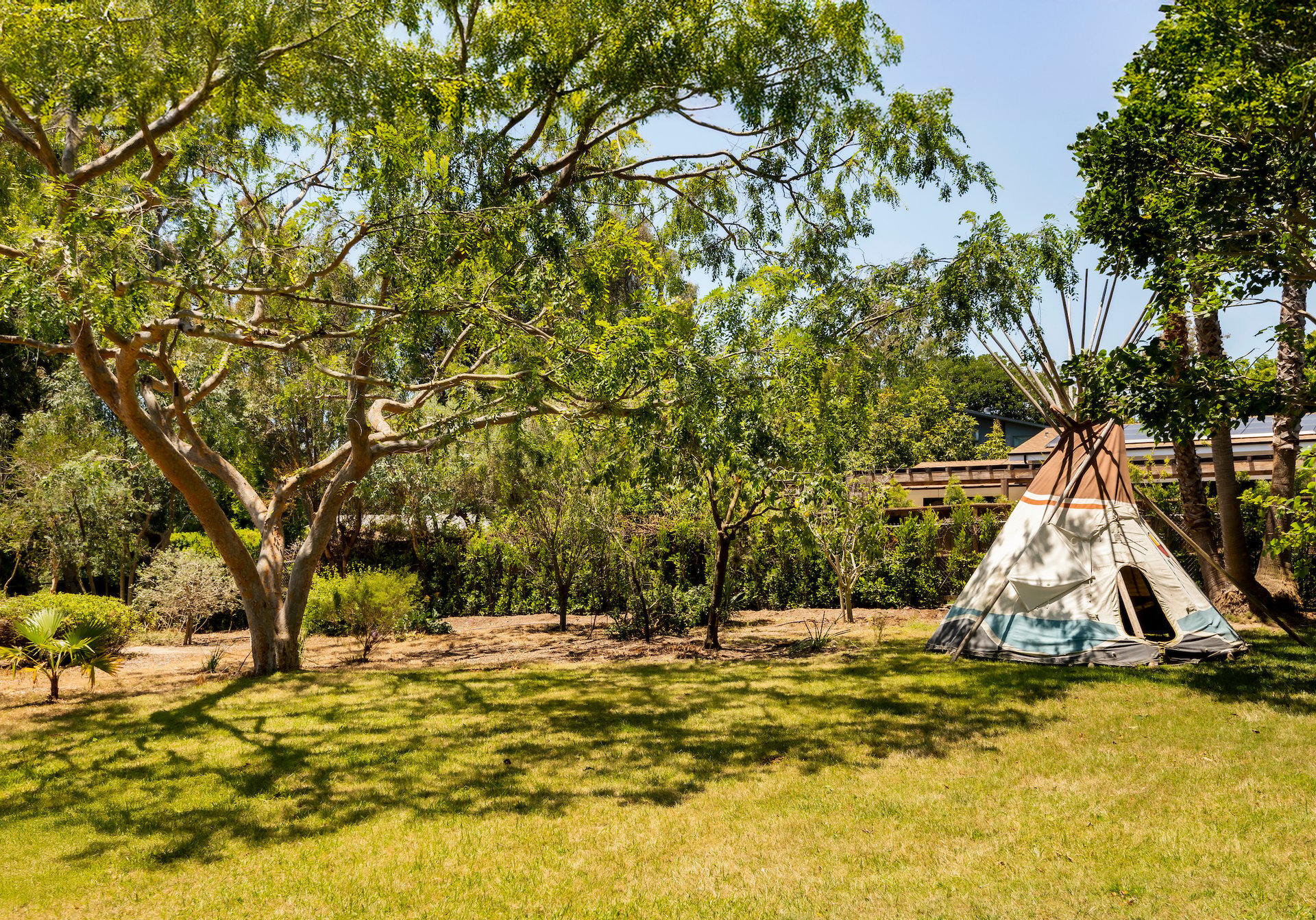Landscaped backyard with mature shade trees, a lawn, and a canvas teepee beside a wooden deck.