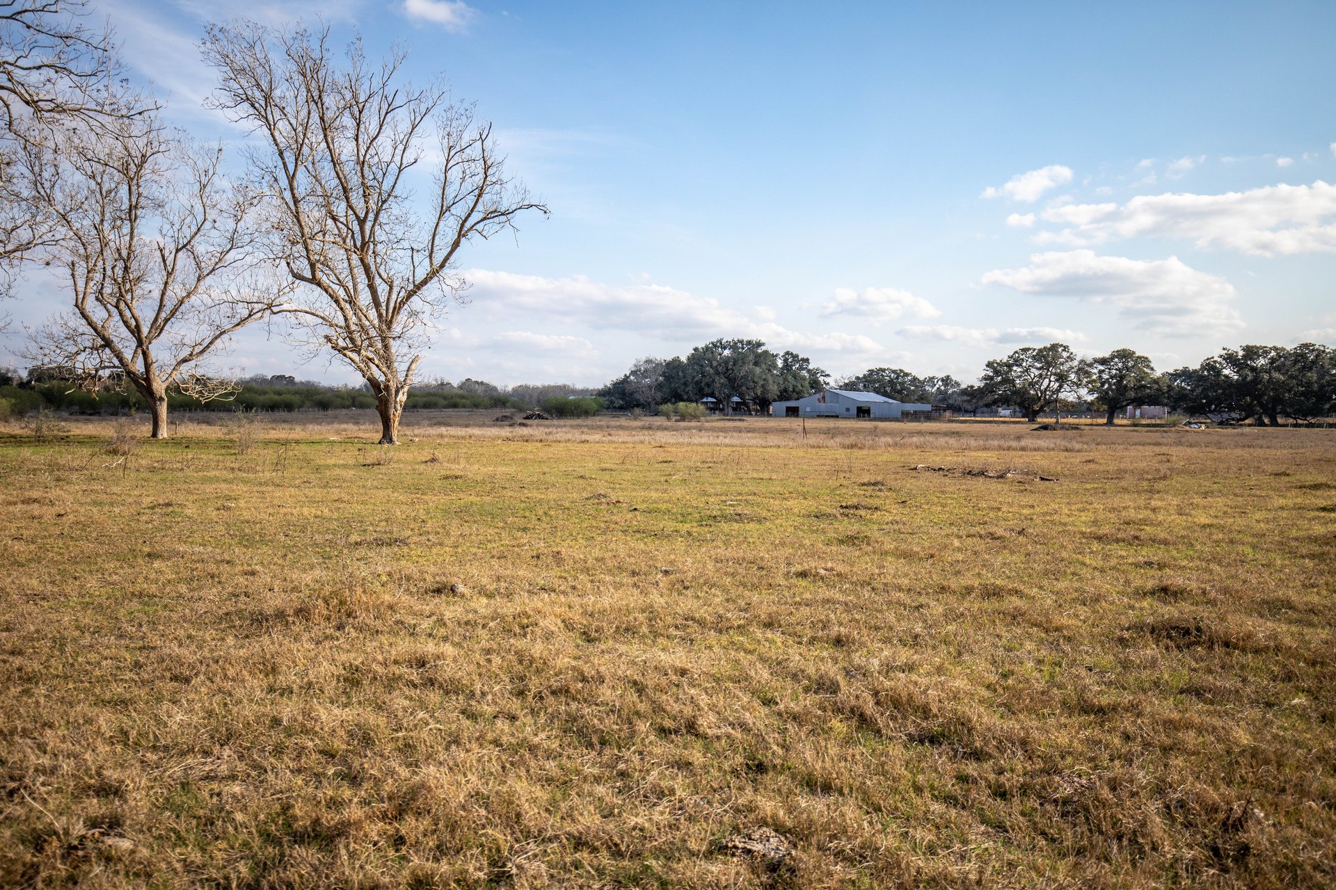 1019 Tulley Road | 45.86± Acres | Cuero, DeWitt County, TX